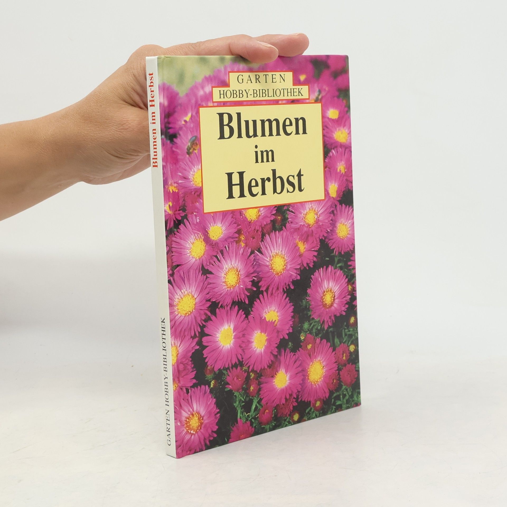 Ute York Blumen im Herbst