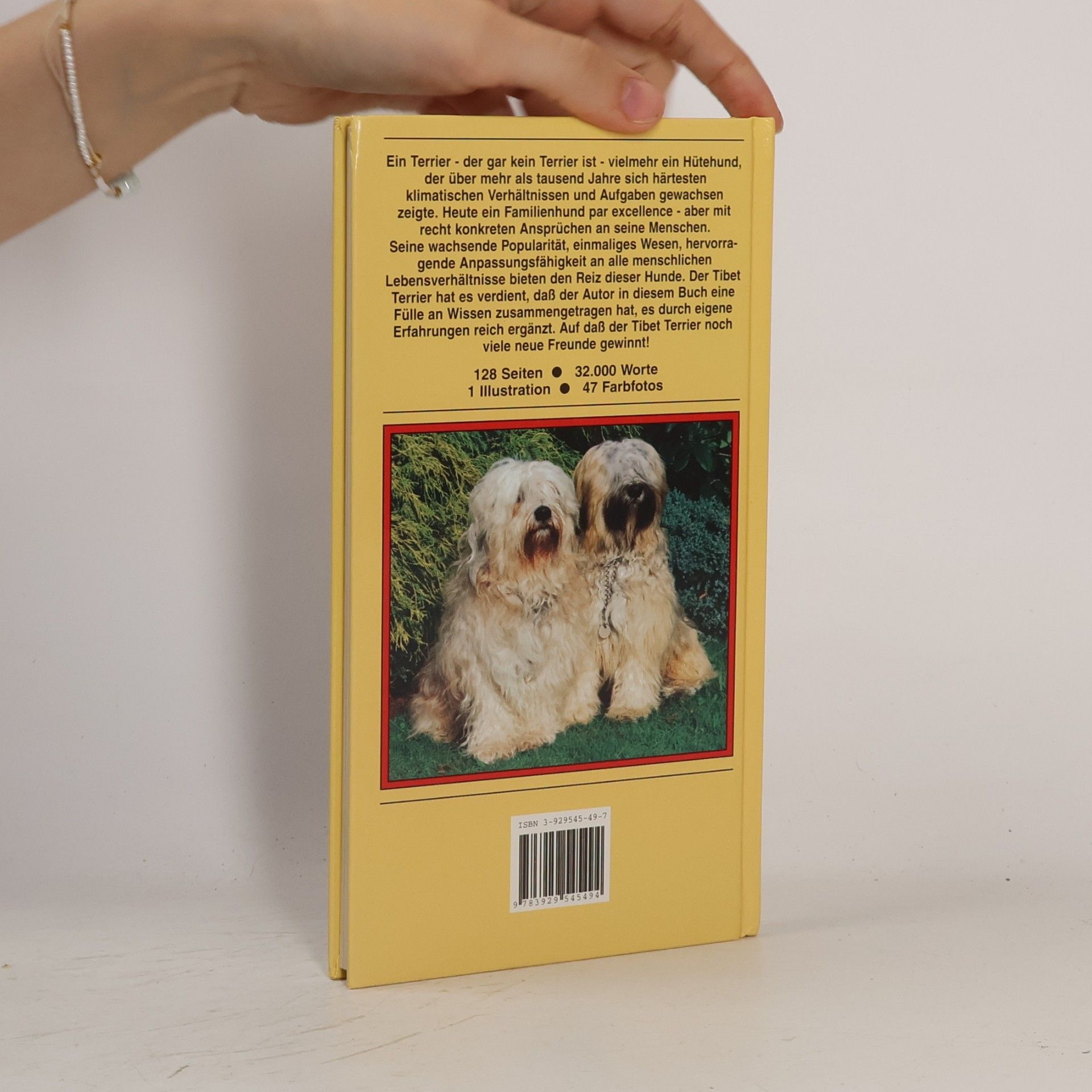 Krasnigg Adolf Tibet-Terrier