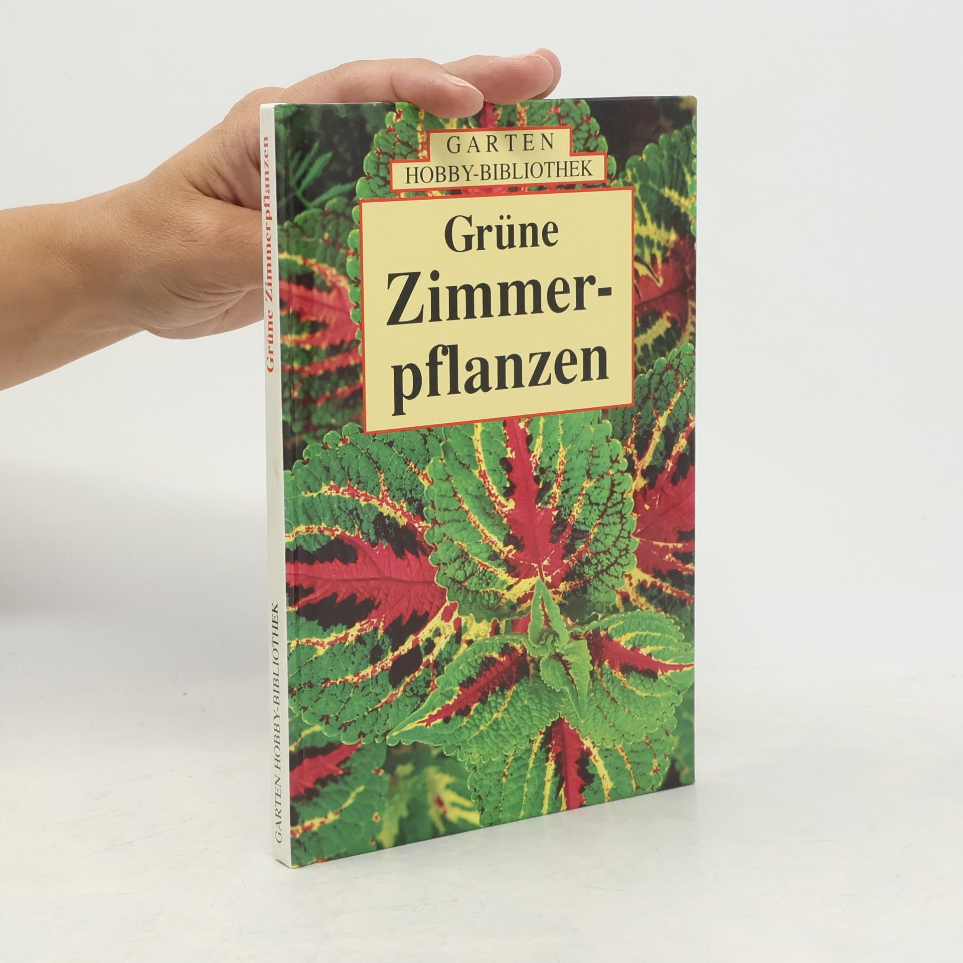 Ute York Grüne Zimmerpflanzen