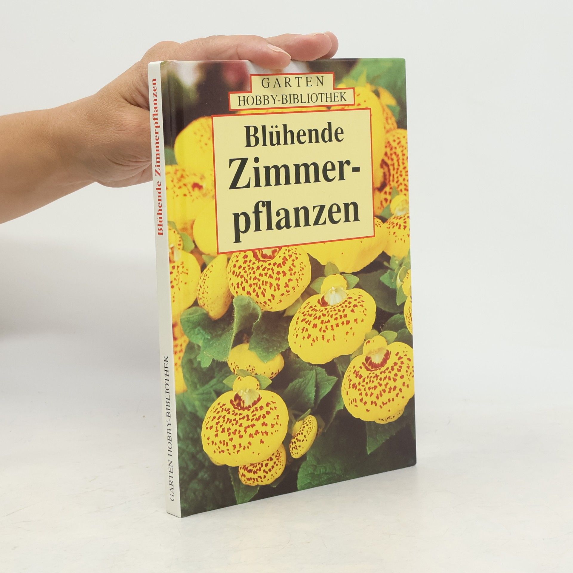 Ute York Blühende Zimmerpflanzen