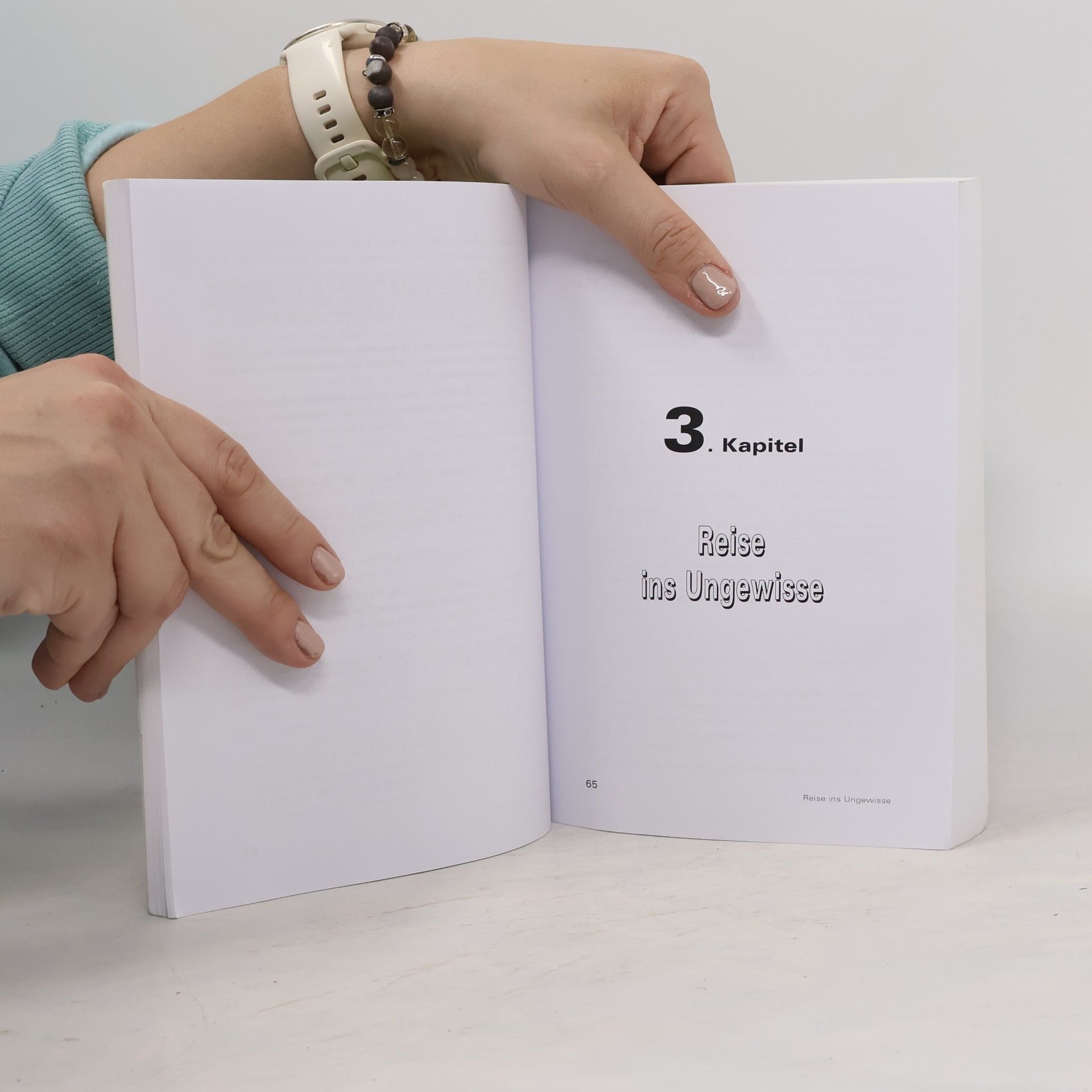 Sabina Sagmeister Leo Pold und Lysira oder das Geheimnis der blauen Lichtung
