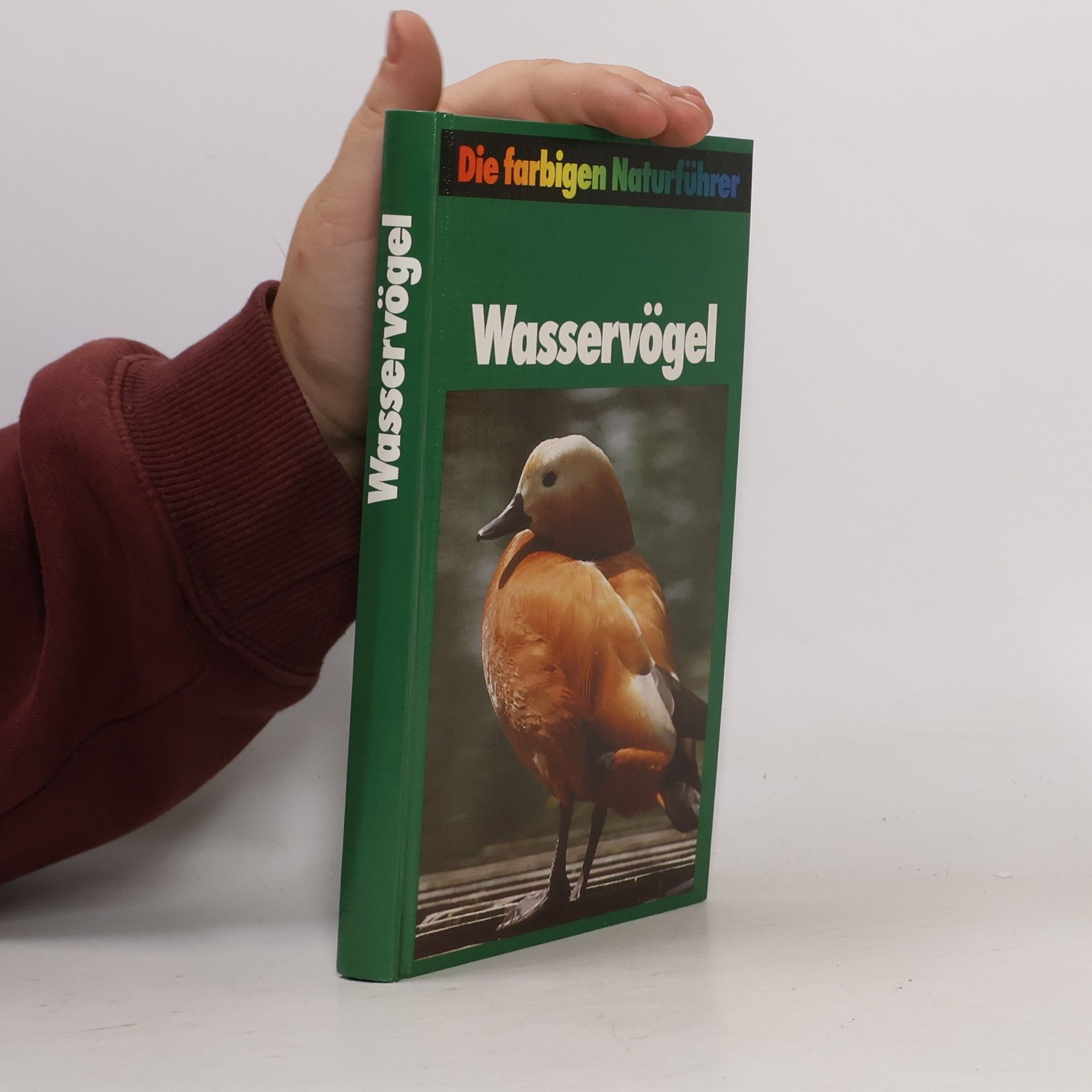 Auteurscollectief Wasservögel