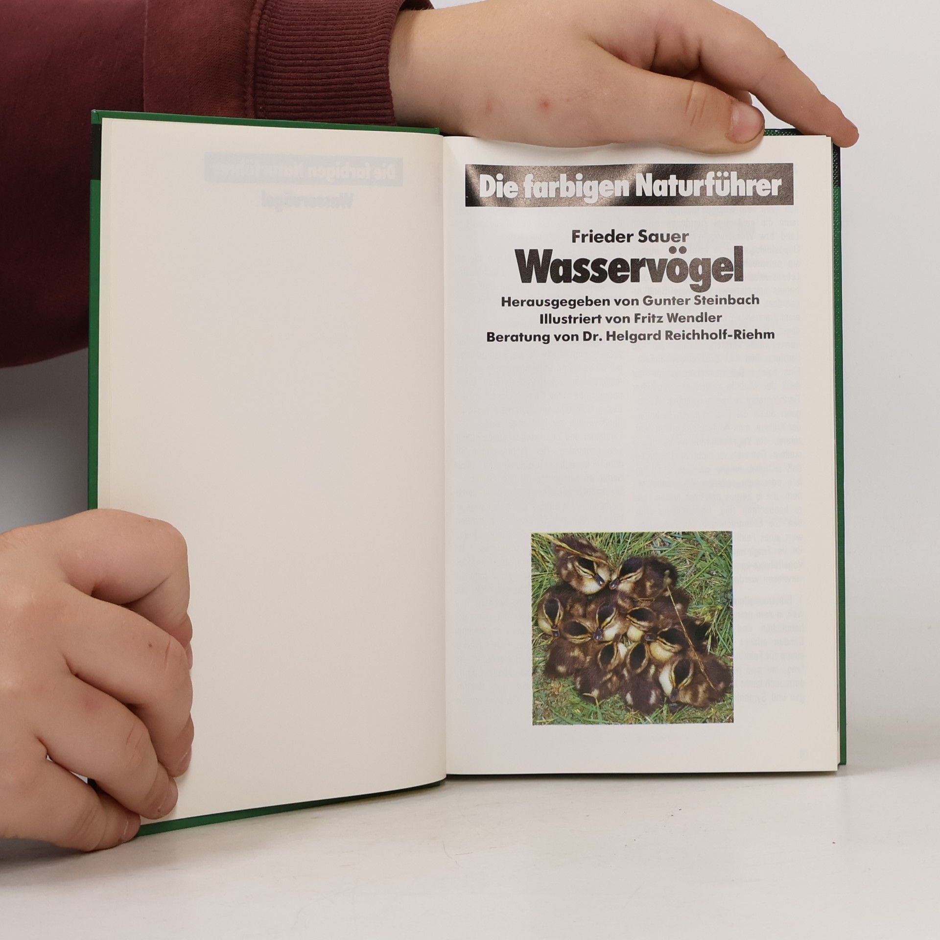Autorenkollektiv Wasservögel