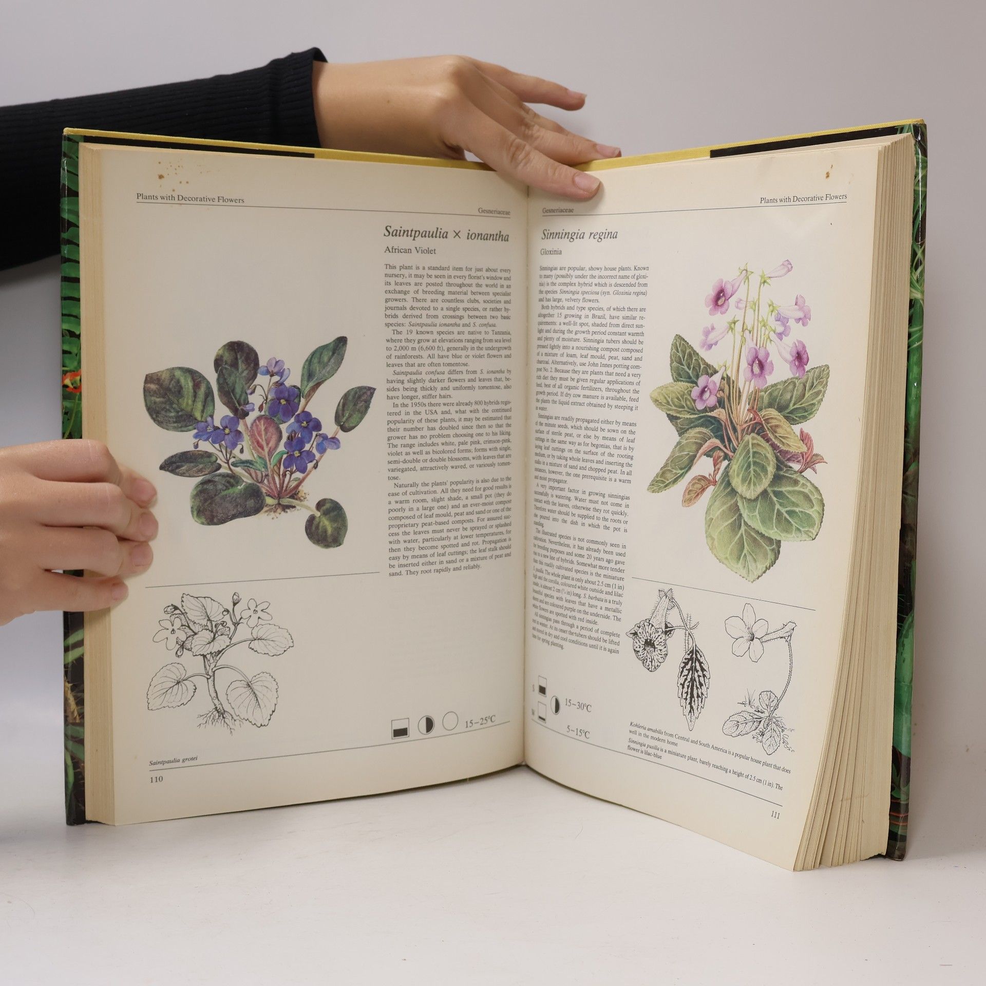Jiří R. Haager The Hamlyn Book of House Plants