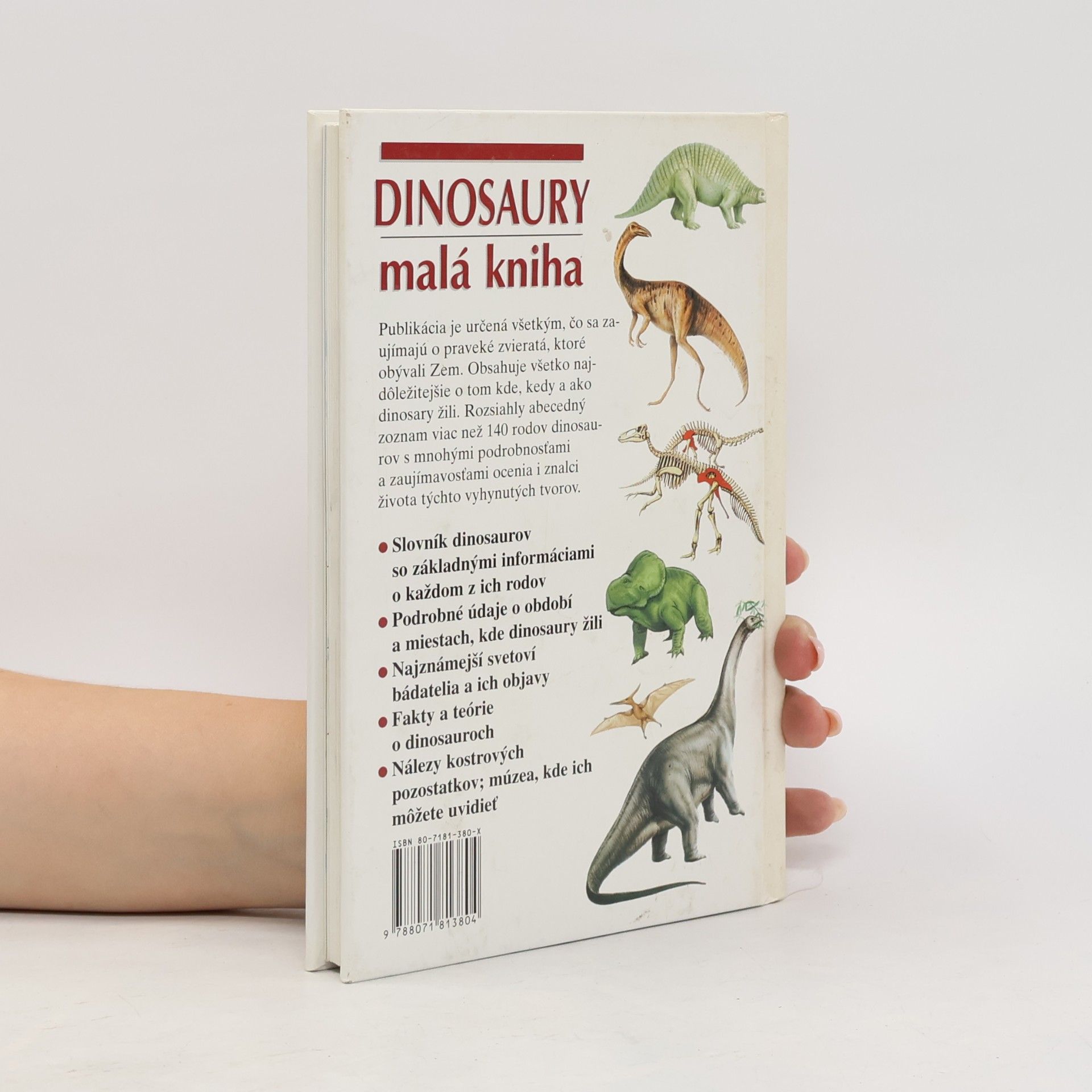 Michael J. Benton Dinosaury - malá kniha