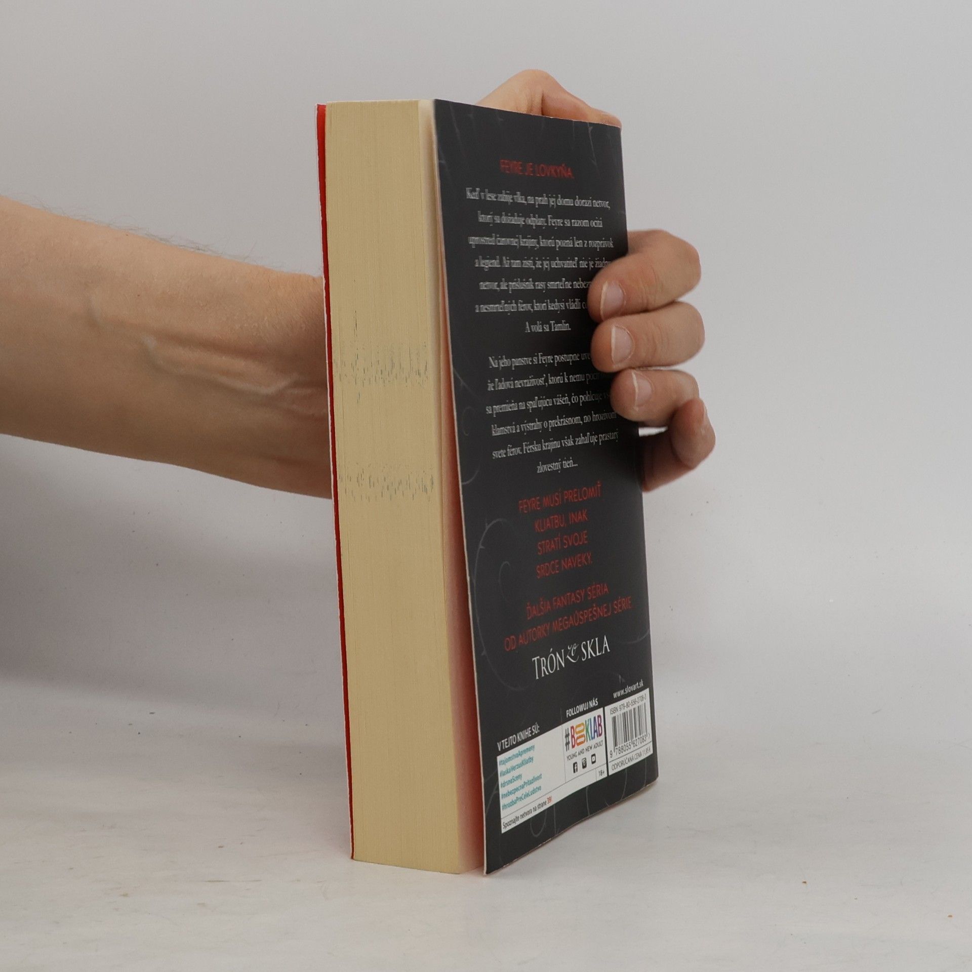 Sarah J. Maas Na dvore z tŕňov a ruží