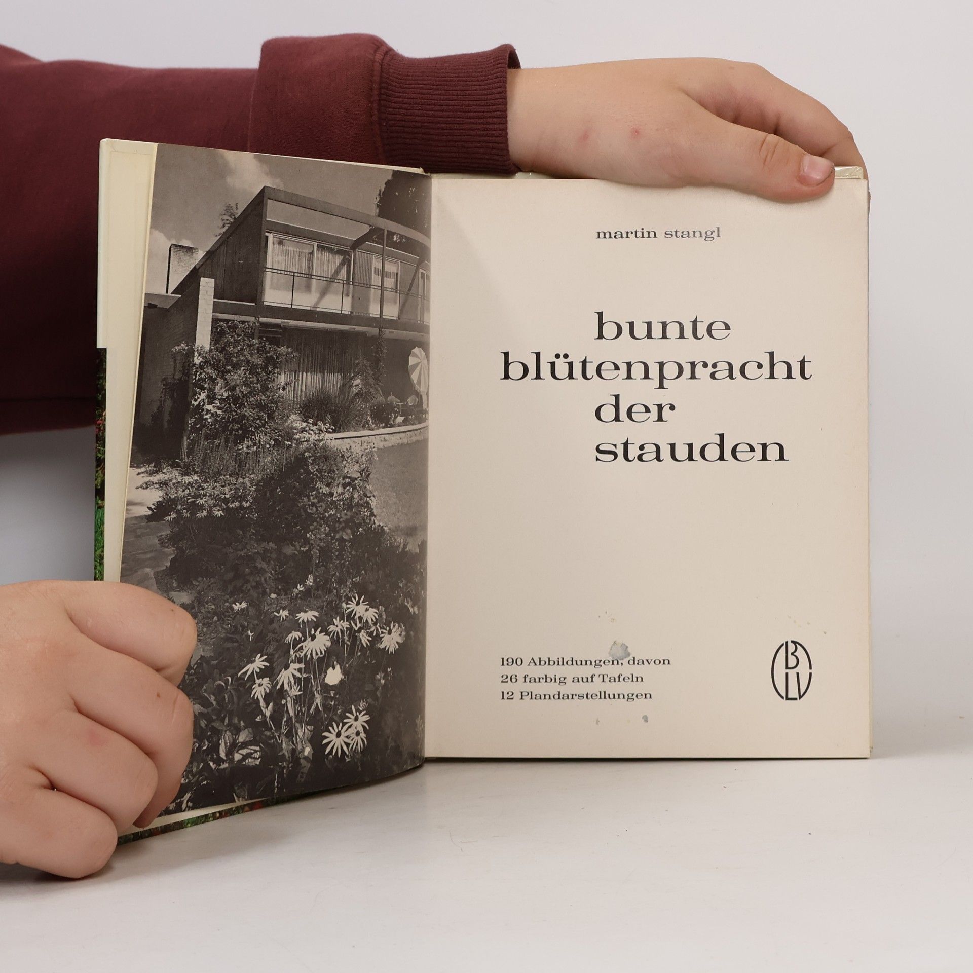 Martin Stangl Bunte Blütenpracht der Stauden