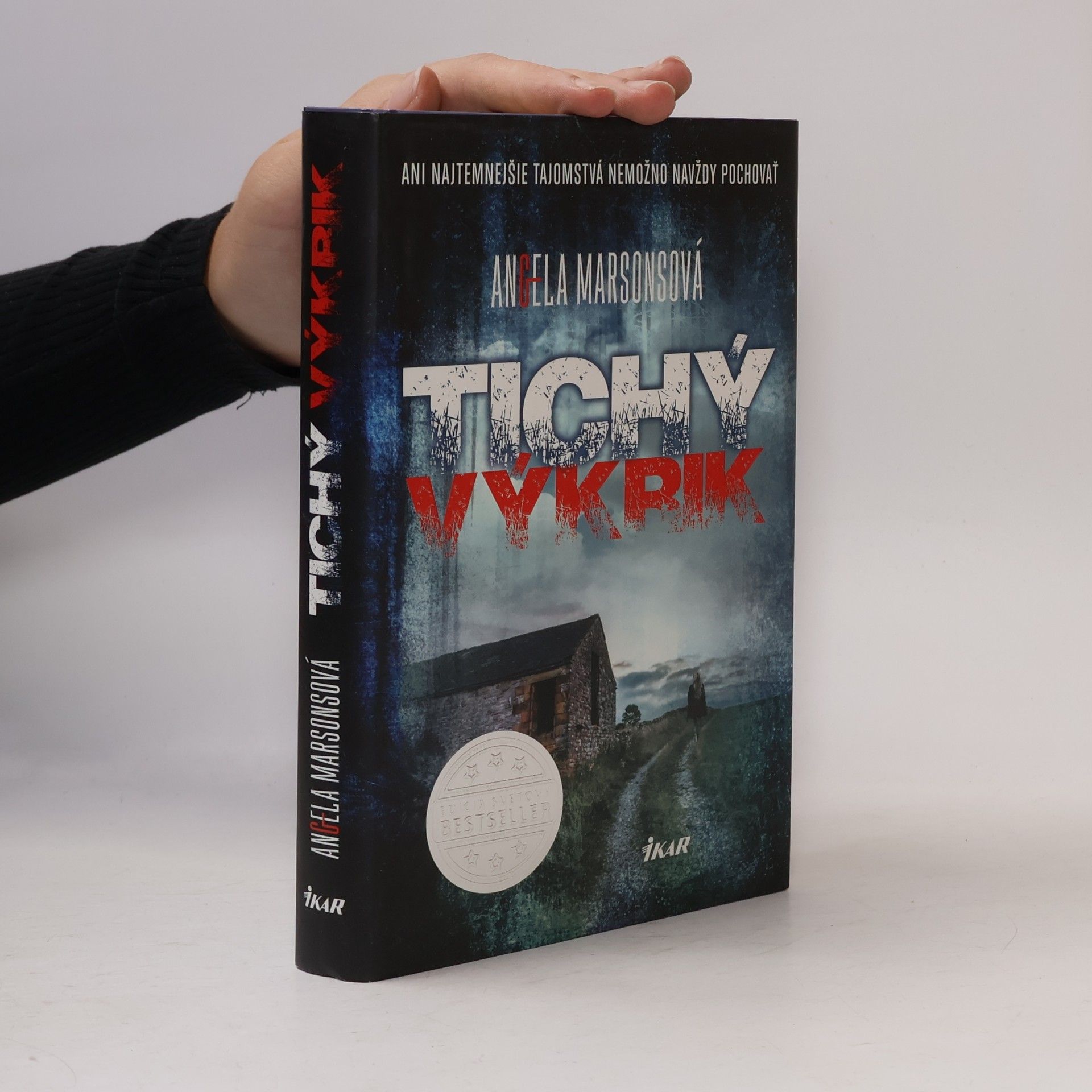 Angela Marsons Tichý výkrik