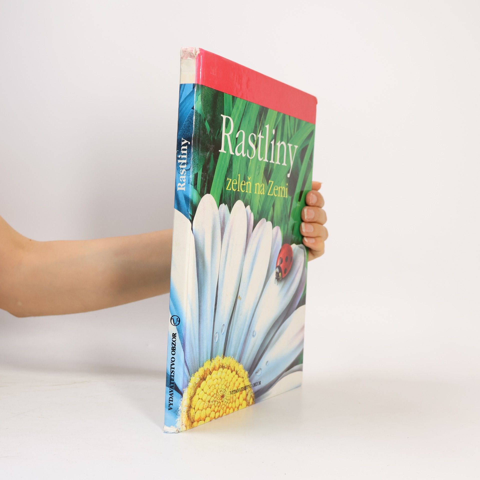 Various authors Rastlinky zeleň na zemi