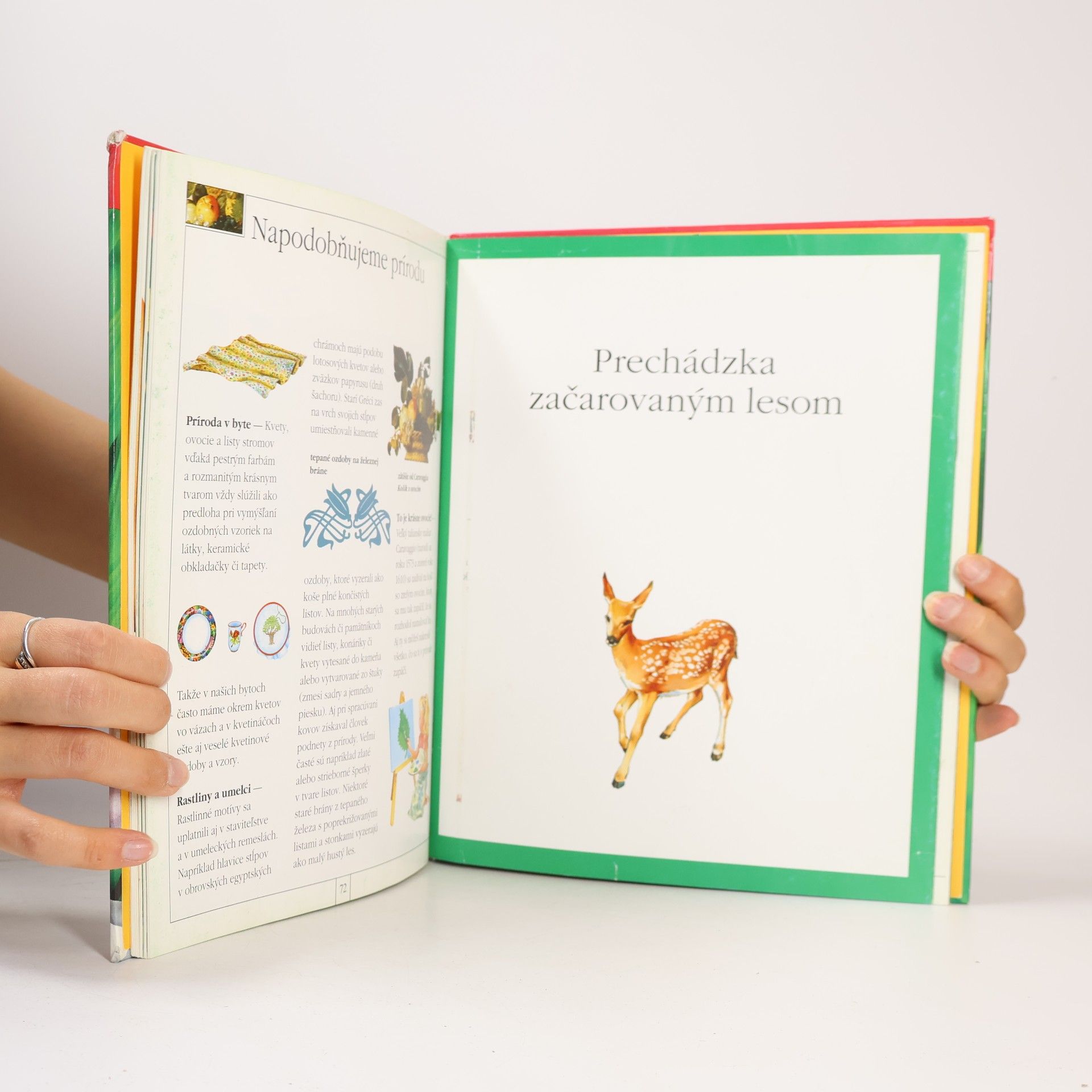 Various authors Rastlinky zeleň na zemi