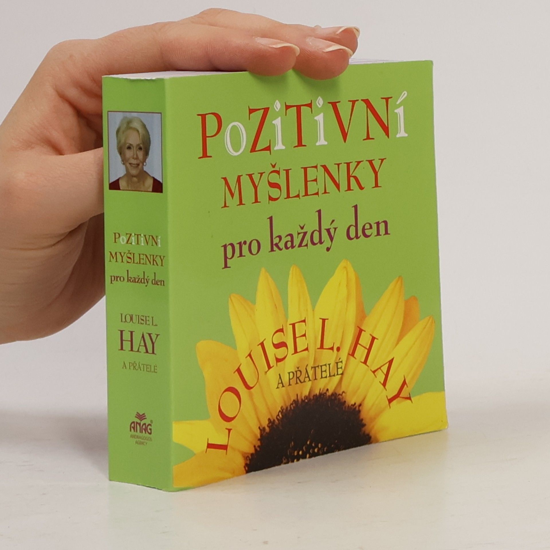 Lousie L. Hay Pozitivní myšlenky pro každý den
