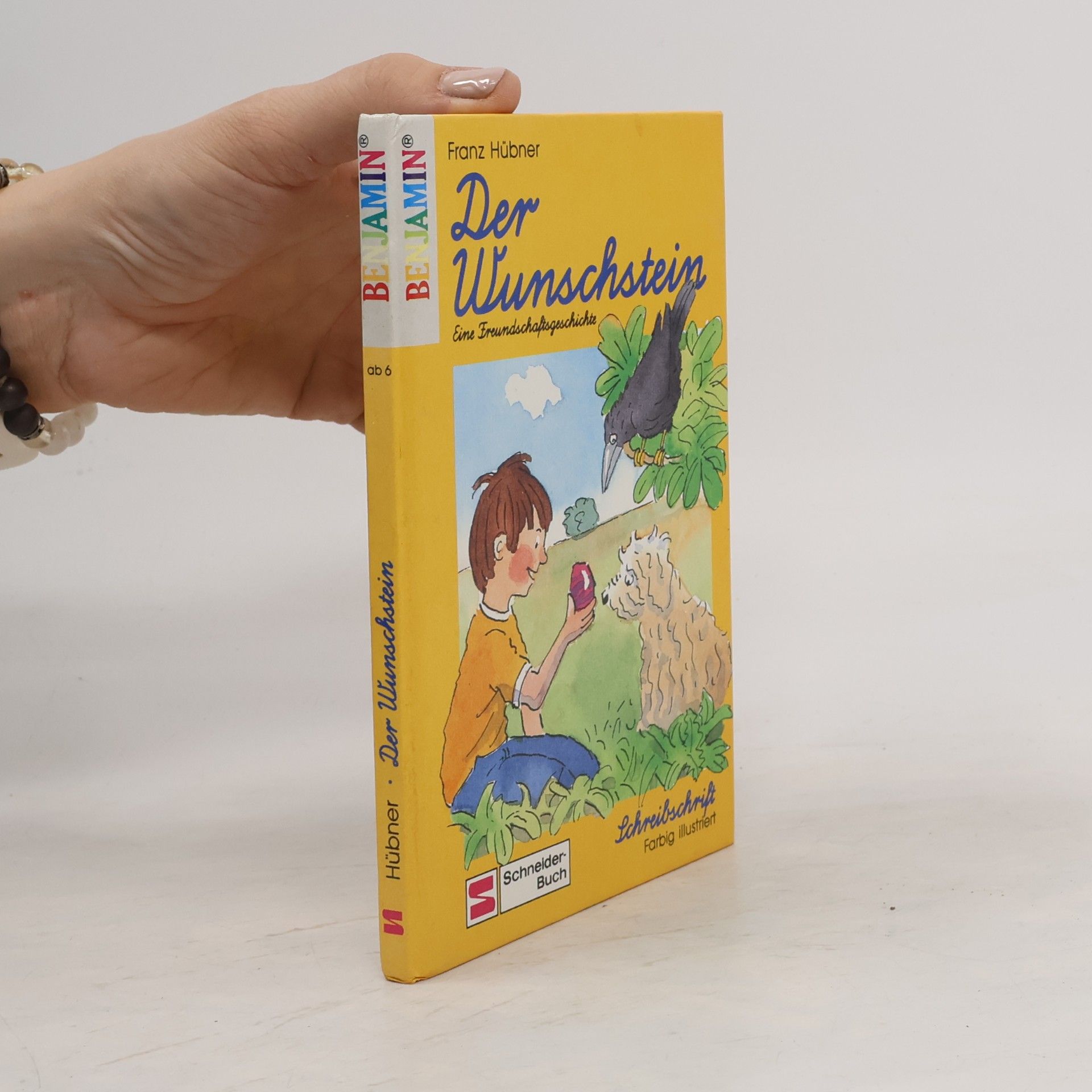 Hübner, Franz Der Wunschstein: Schreibschrift (Benjamin)