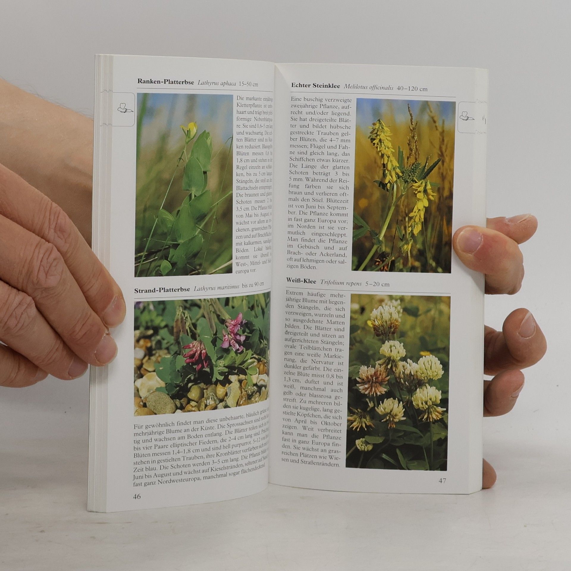 Paul Sterry Wildblumen