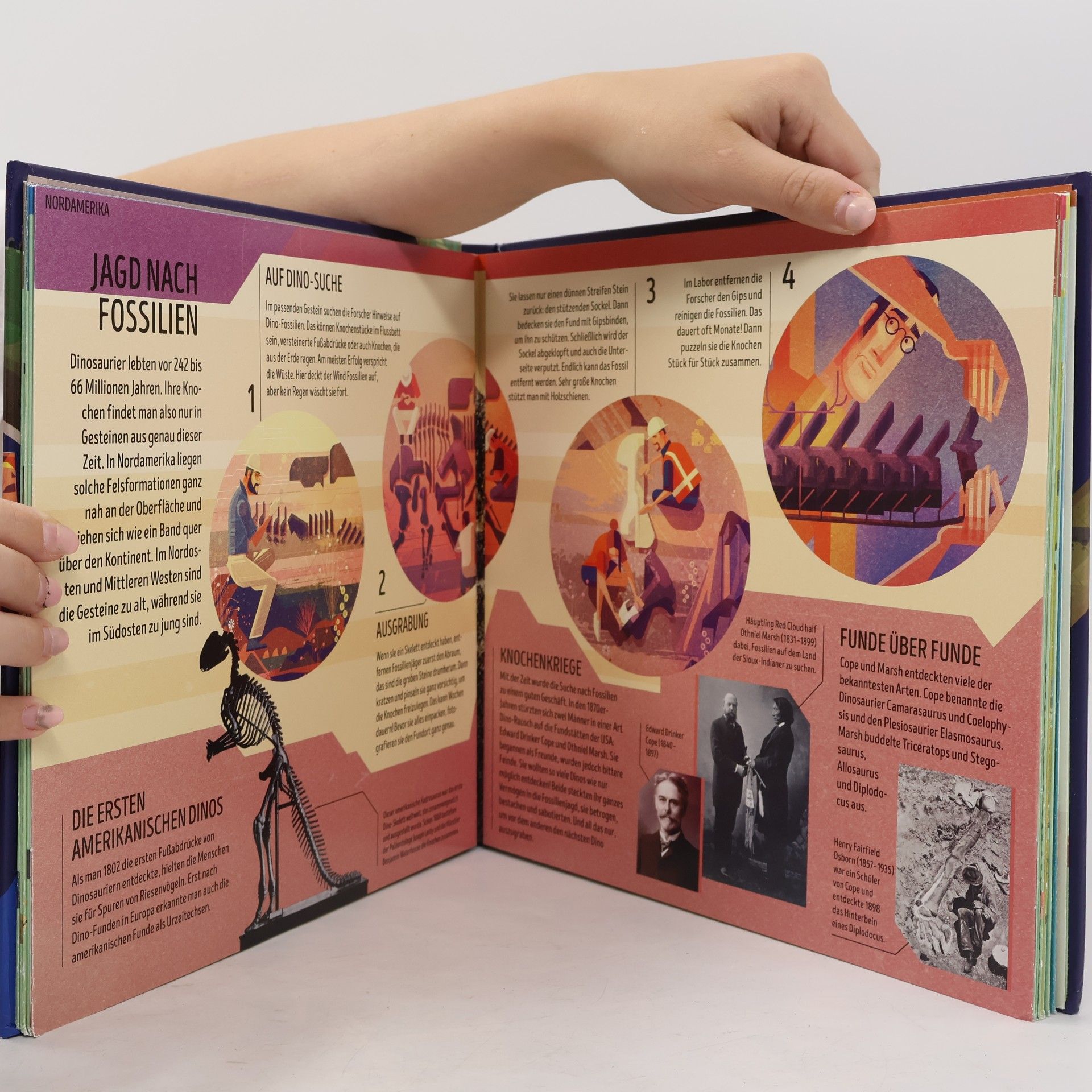 Anne Rooney Der Ravensburger Dinosaurier-Atlas