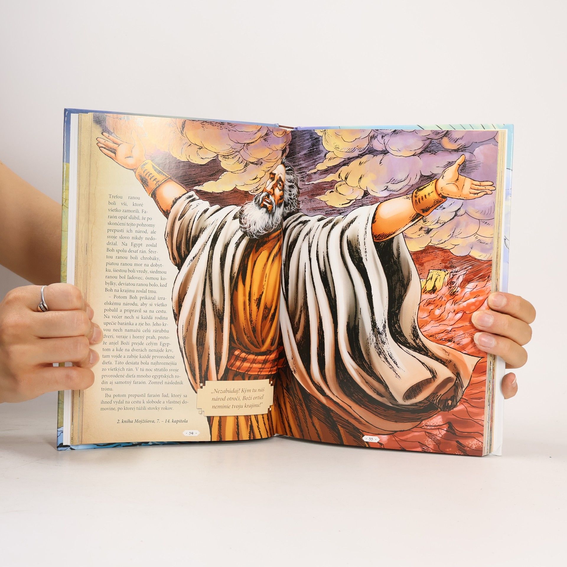 Emese Sipos Obrázková rodinná Biblia pre malých i veľkých