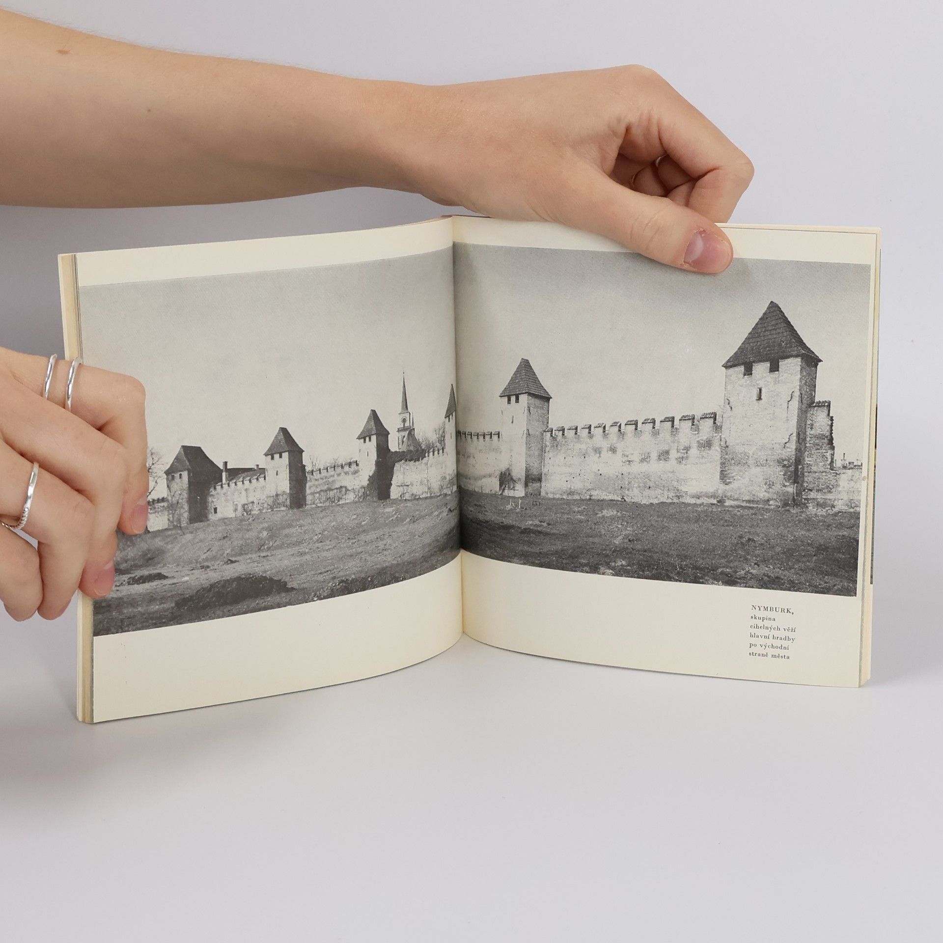 Dobroslav Líbal Gotická architektura středních Čech
