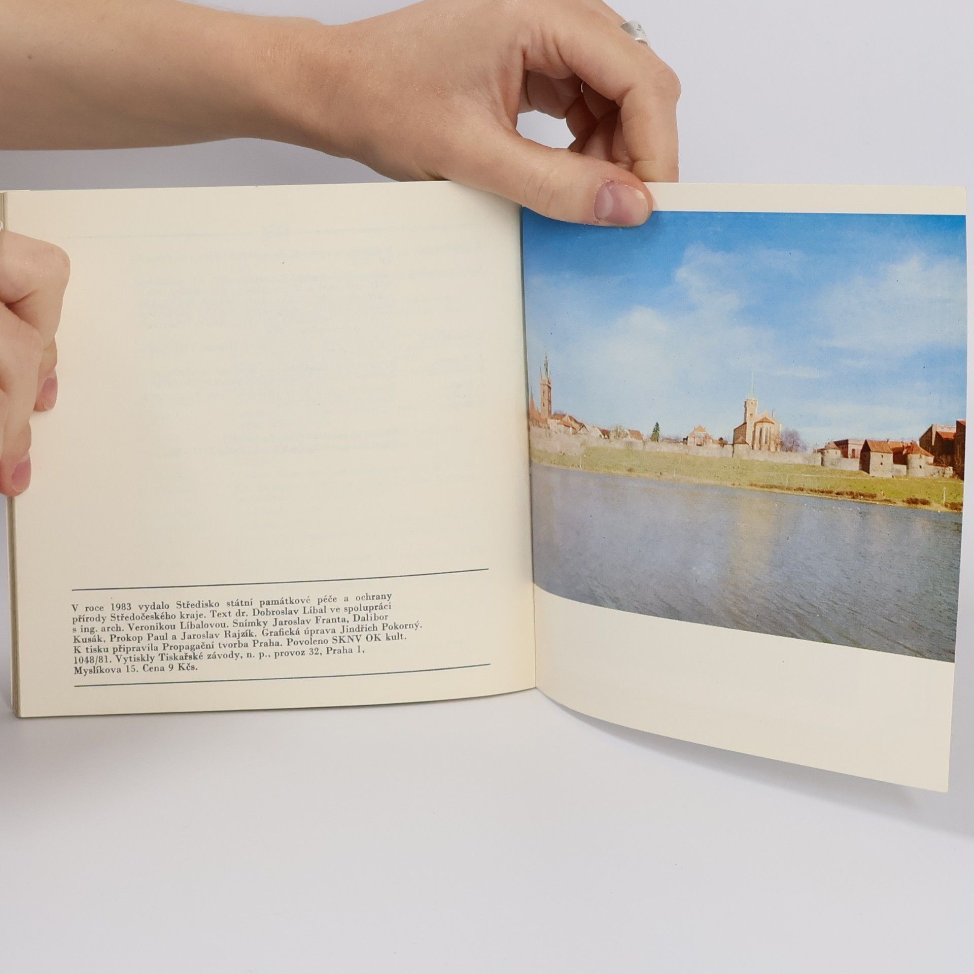 Dobroslav Líbal Gotická architektura středních Čech