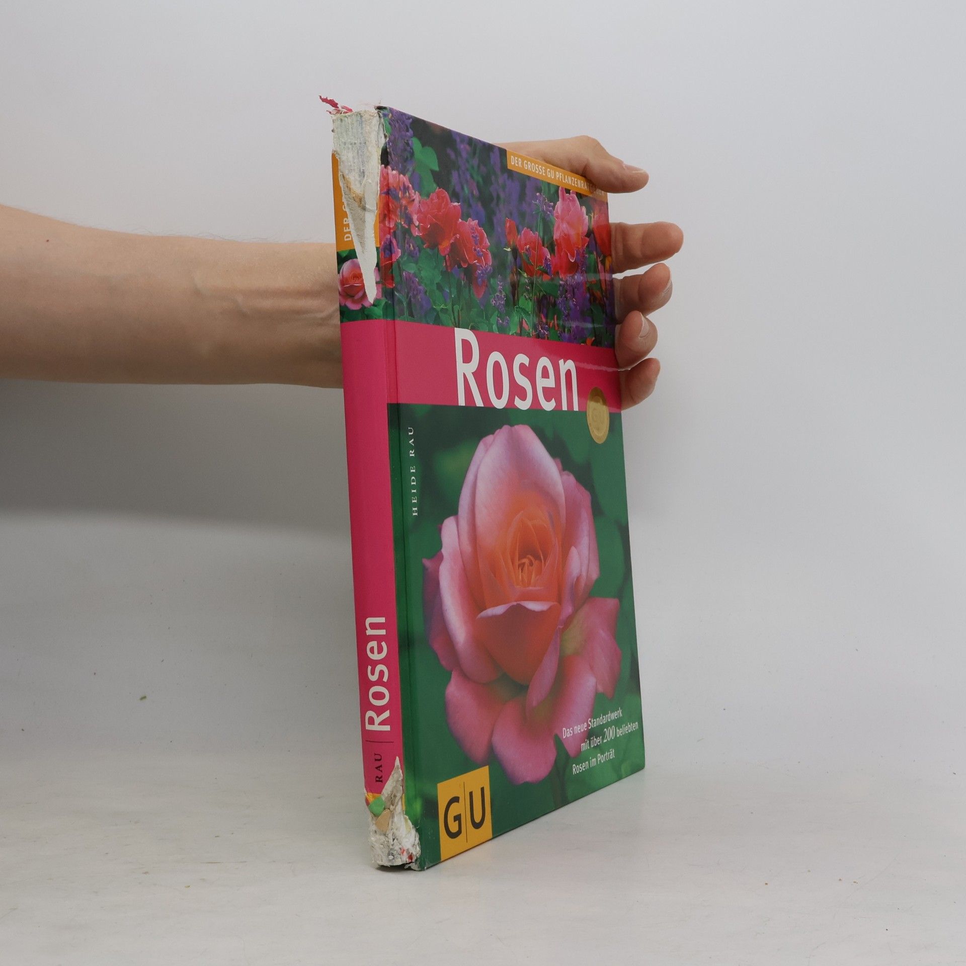 Heide Rau Rosen