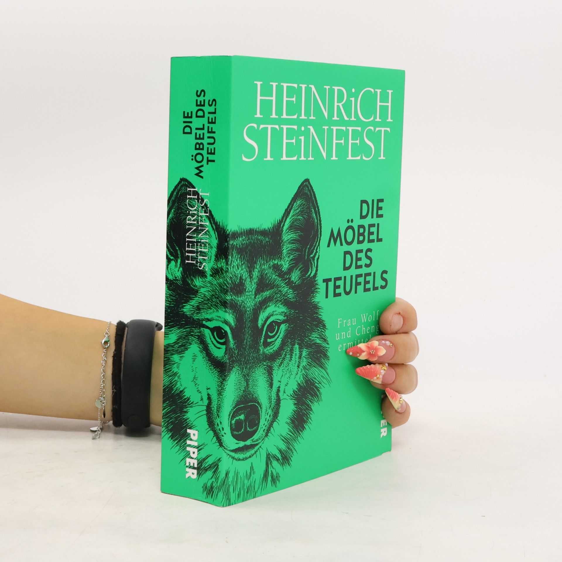 Heinrich Steinfest Die Möbel des Teufels