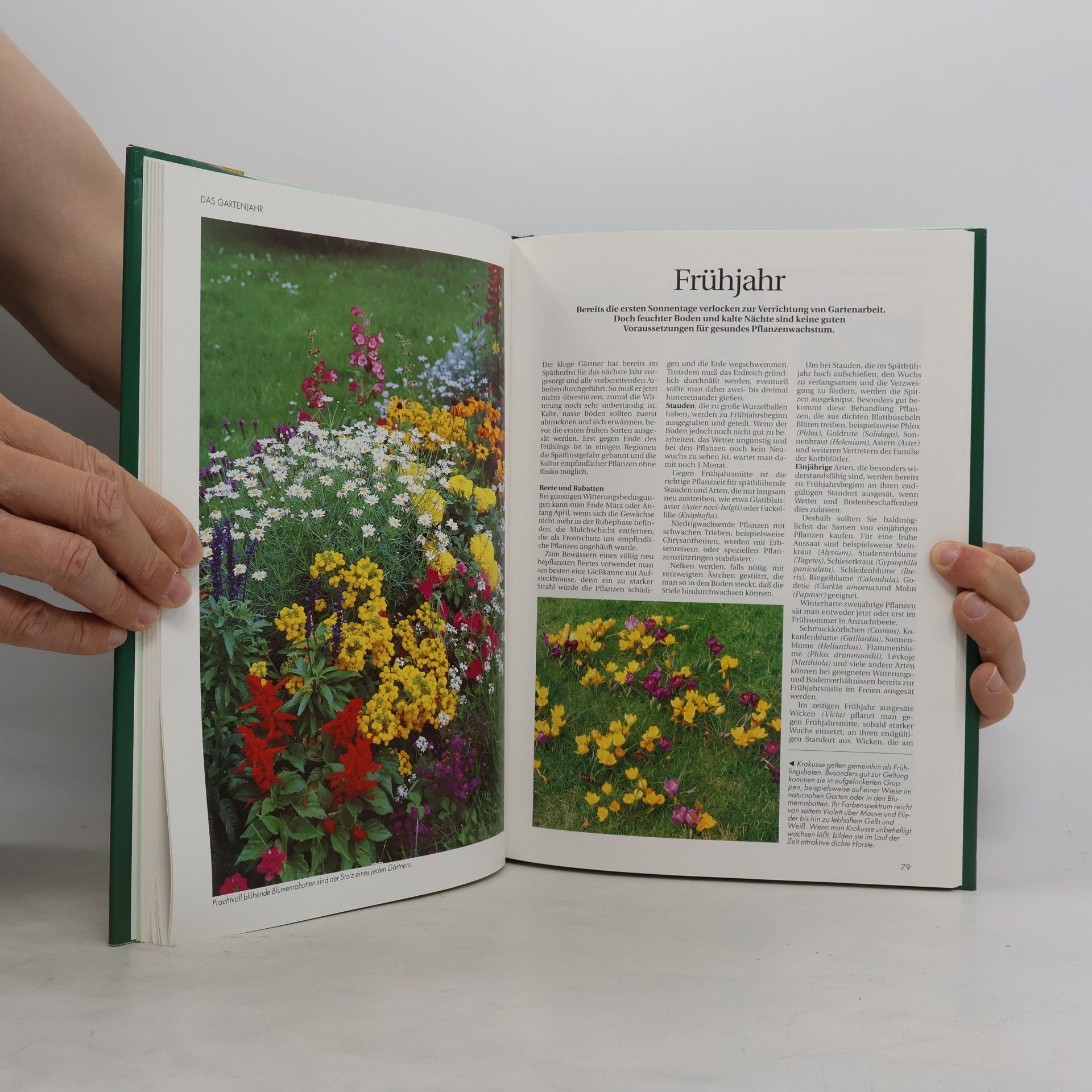 Bodo M. Tegethoff Der gesunde Biogarten