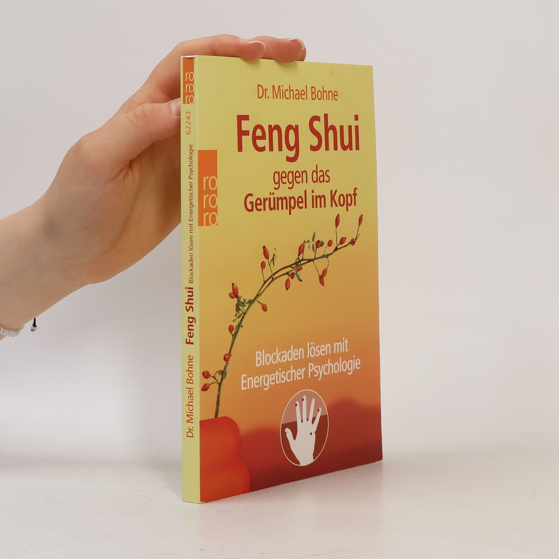 Michael Bohne Feng-Shui gegen das Gerümpel im Kopf