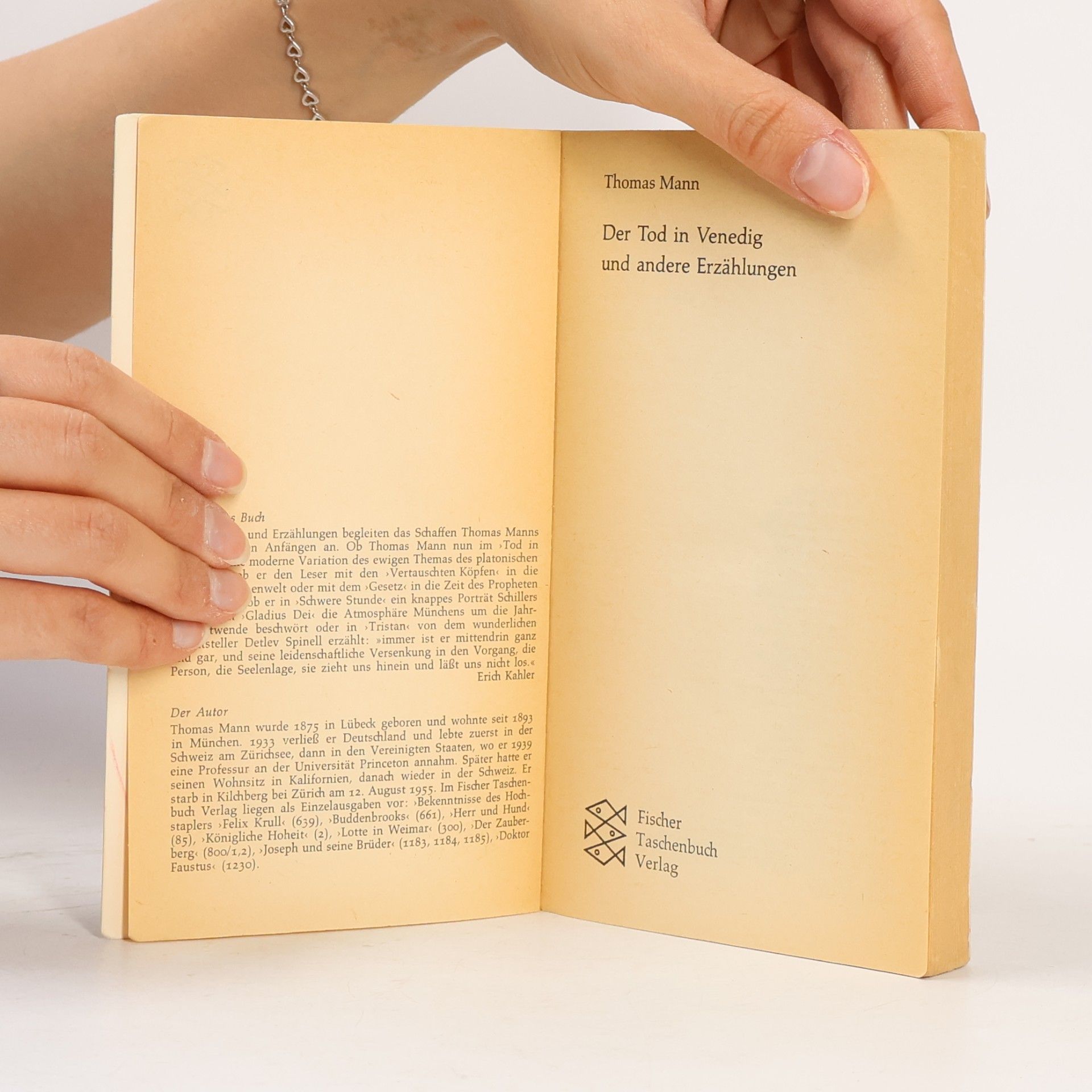 Thomas Mann Der Tod in Venedig