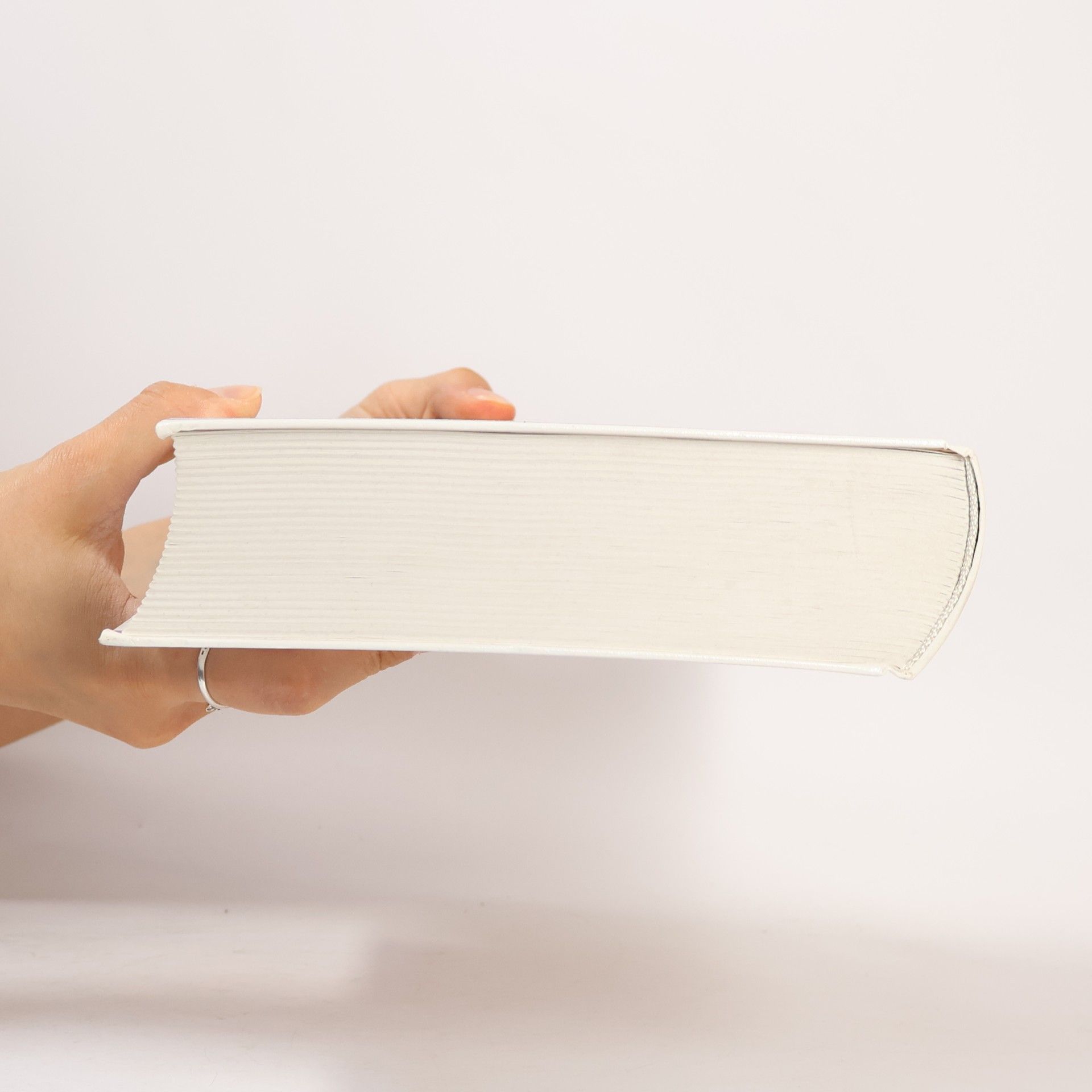 Lorenz Fischer Grundlagen der Sozialpsychologie