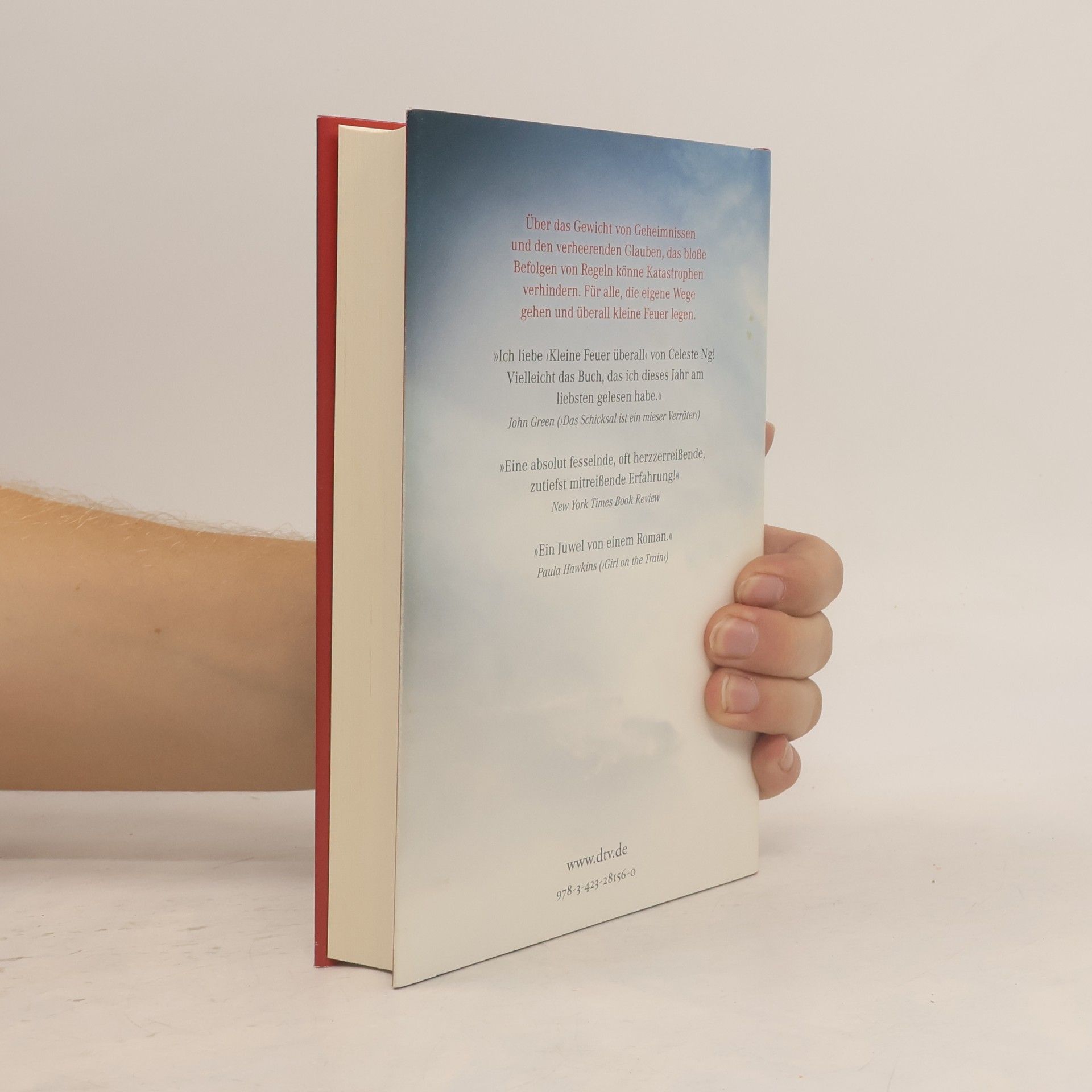 Celeste Ng Kleine Feuer überall