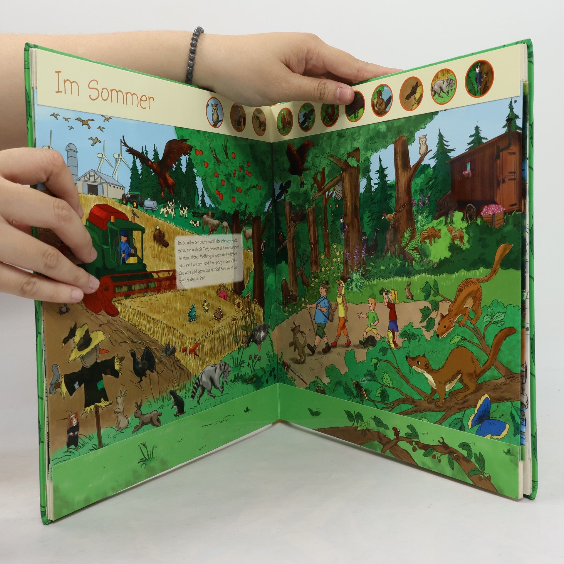Autorenkollektiv Mein großes Wimmelbuch. Im Wald