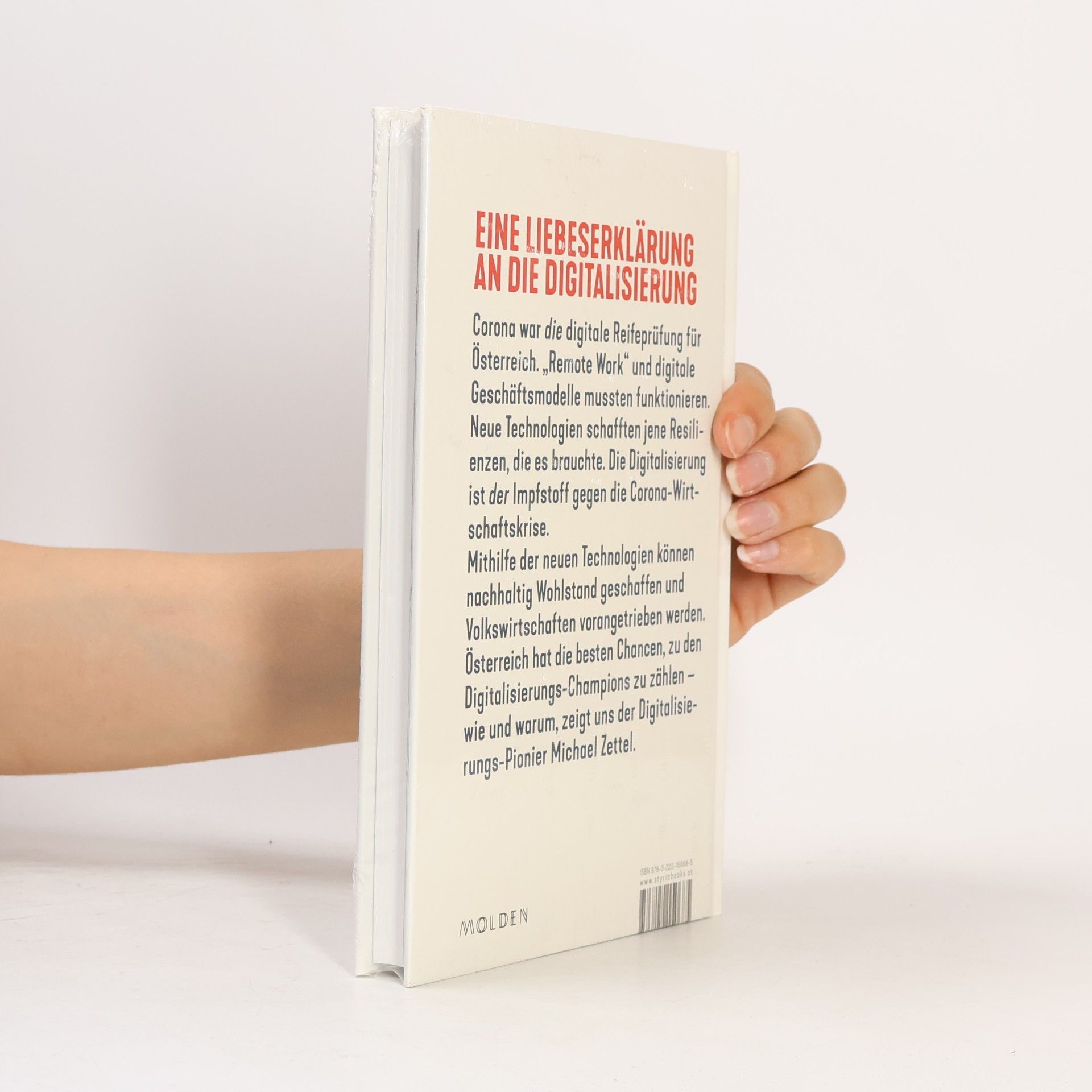 Michael Zettel Das digitale Wirtschaftswunder