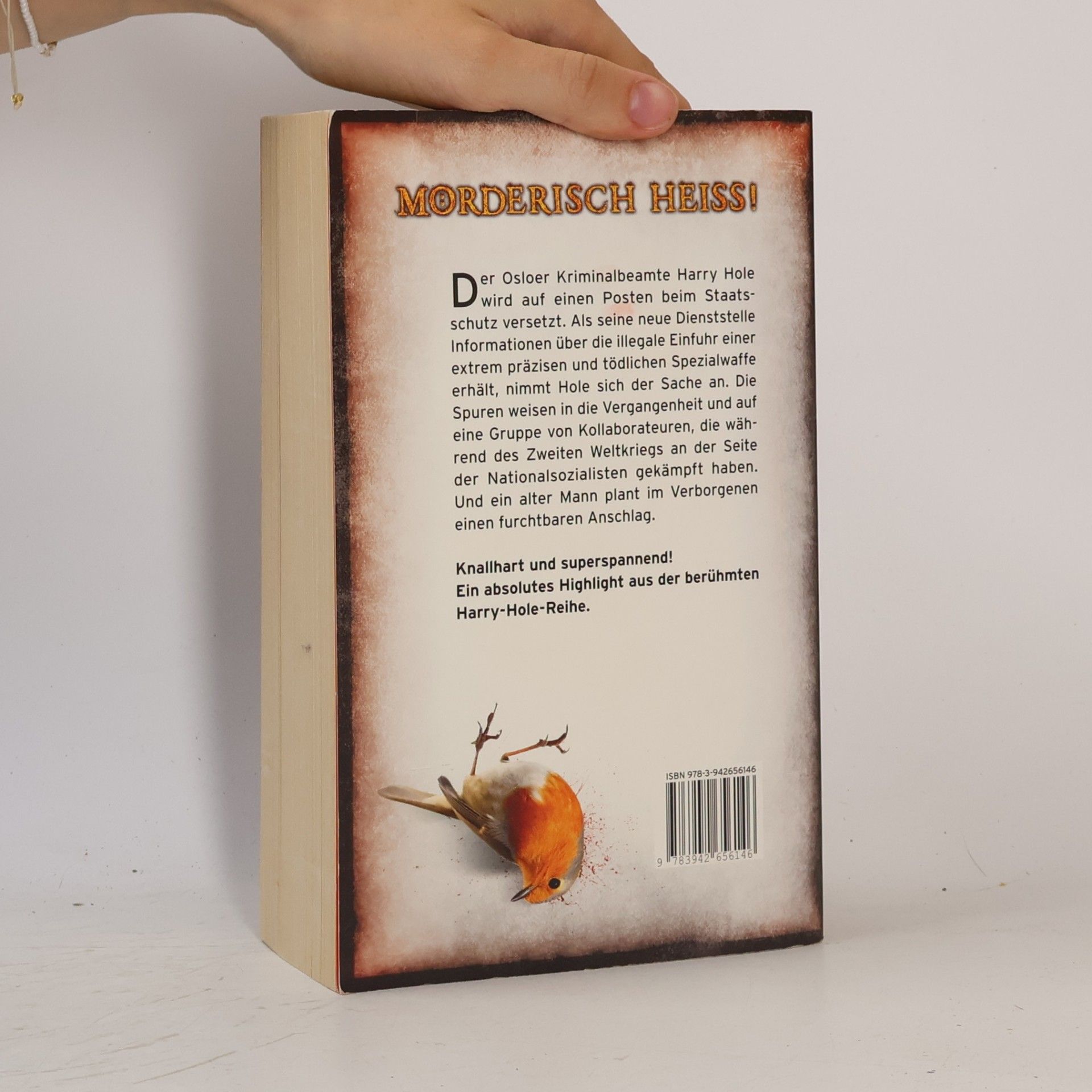 Jo Nesbø Rotkehlchen