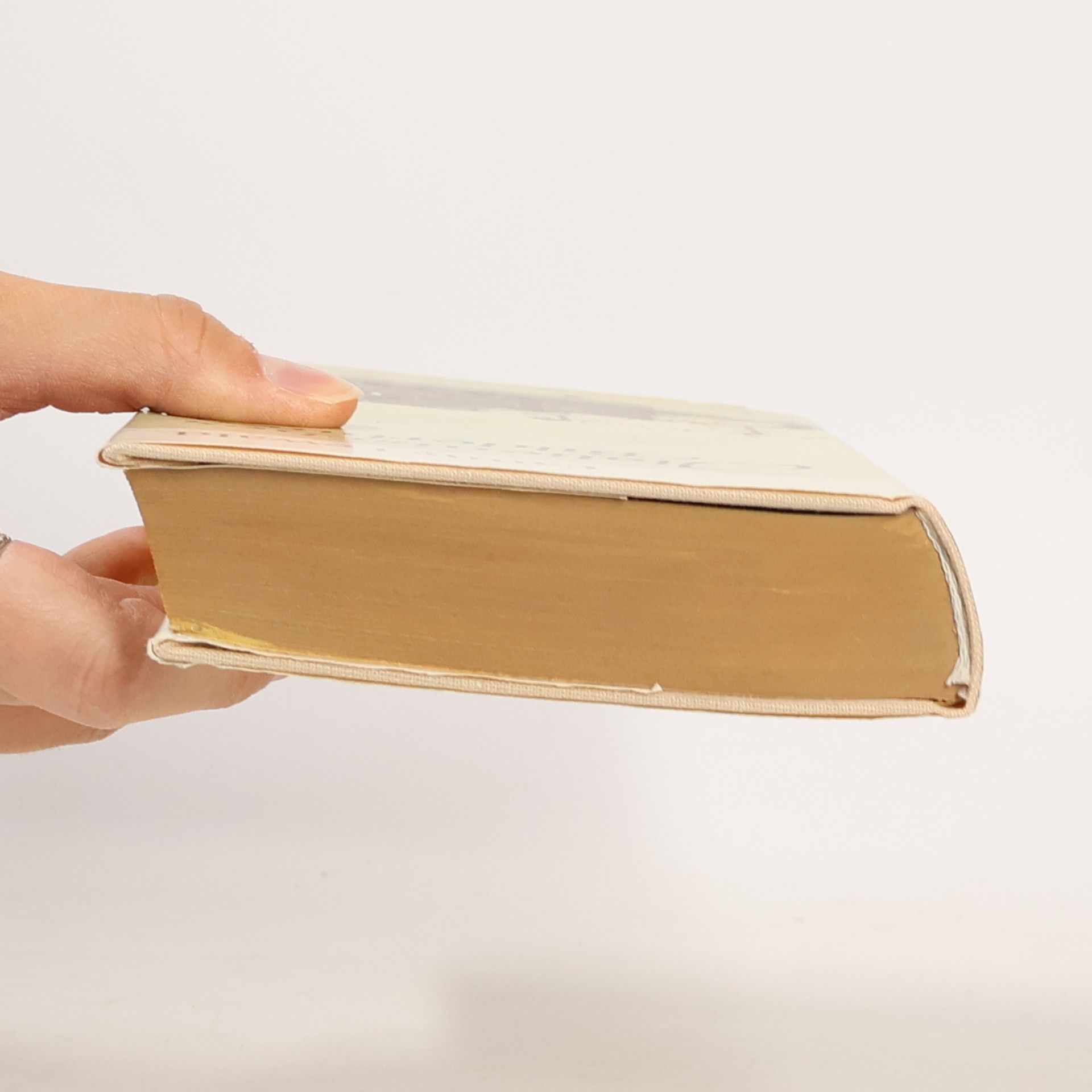 Fanny Lewald Italienisches Bilderbuch