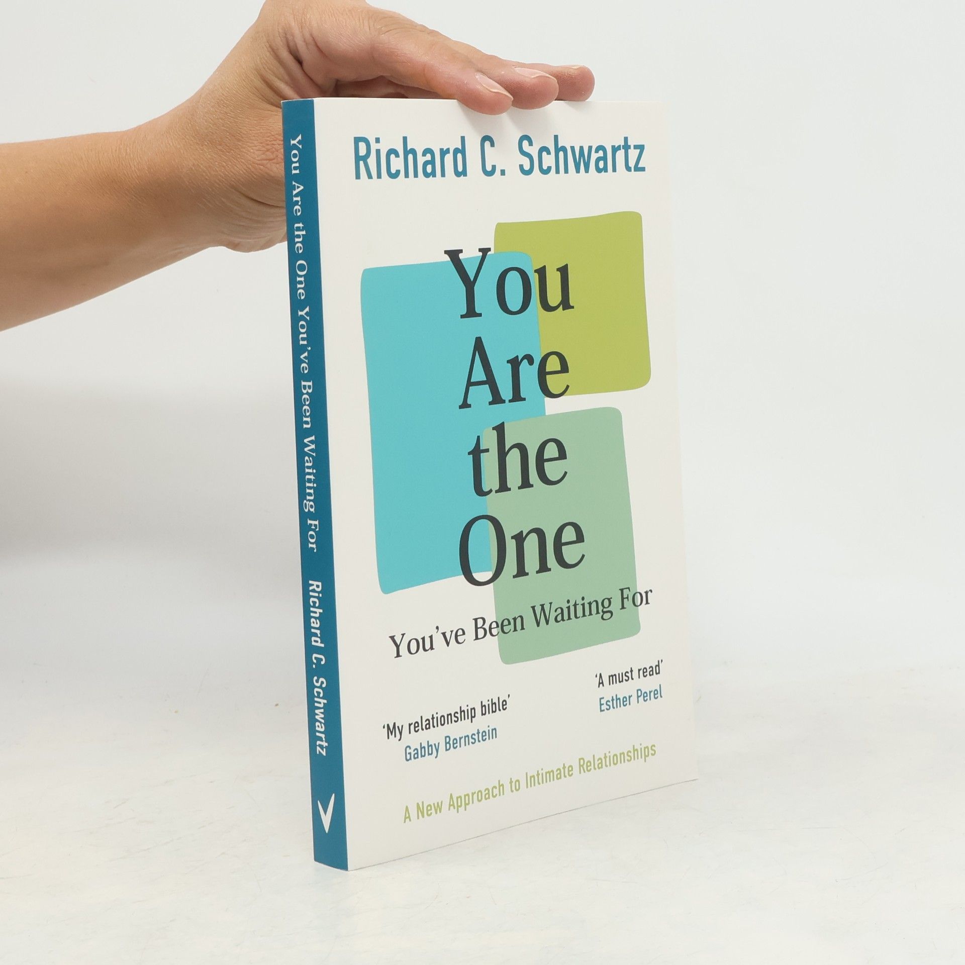 Richard Schwartz You Are the One You've Been Waiting For
