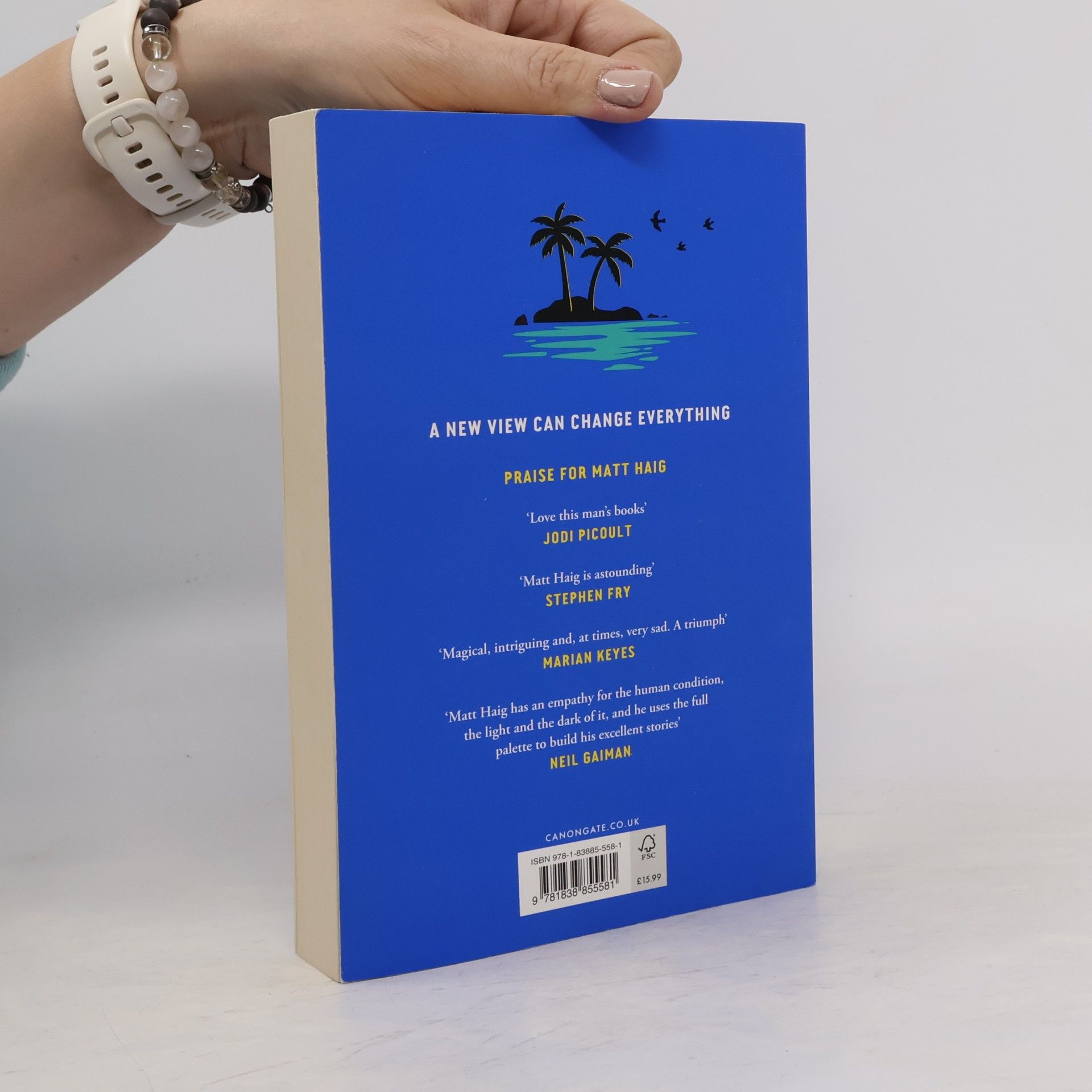 Matt Haig The Life Impossible