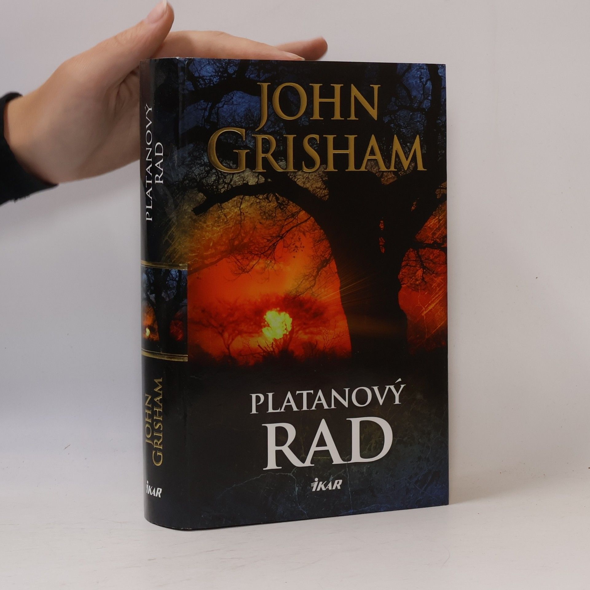 Platanový rad