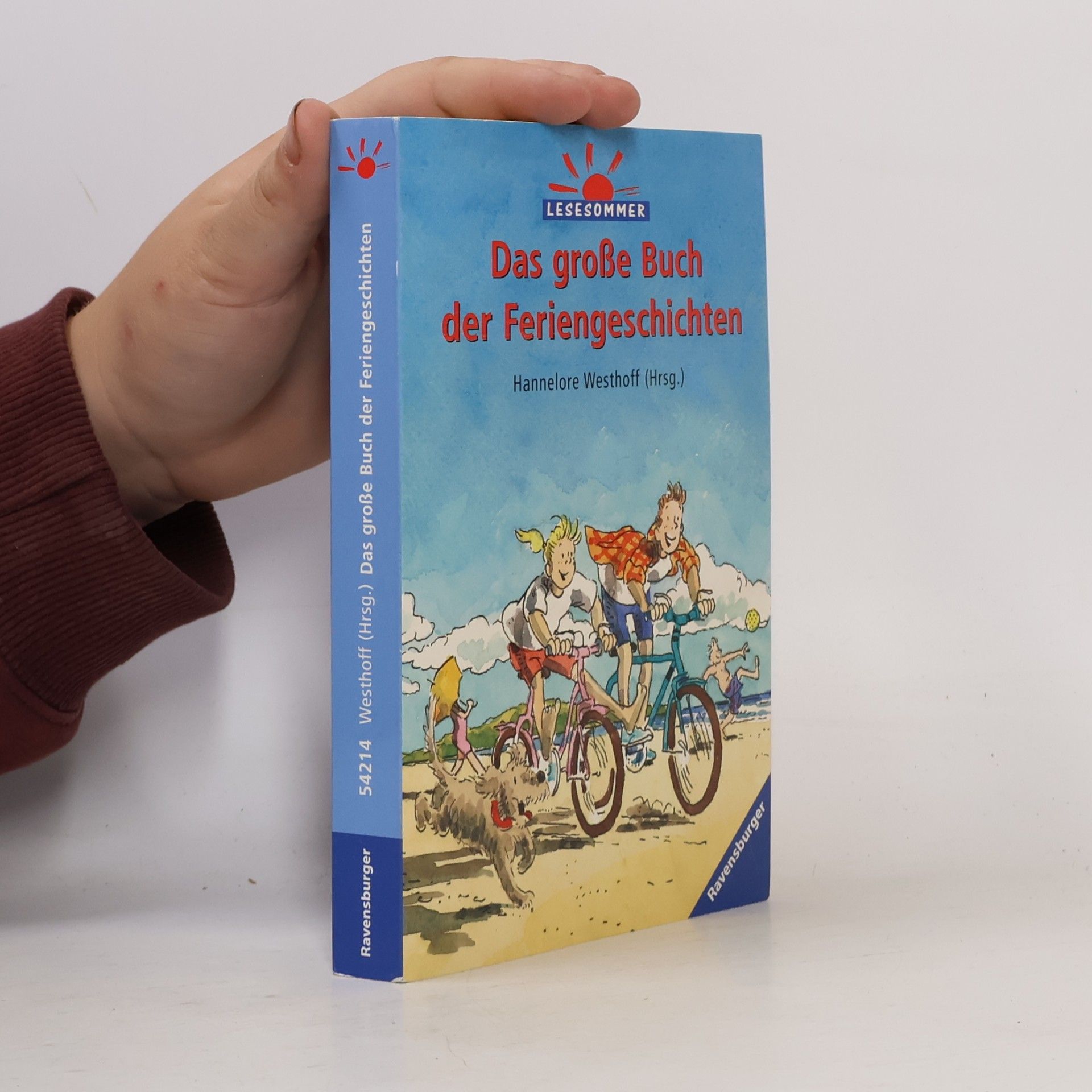Hannelore Westhoff Das große Buch der Feriengeschichten