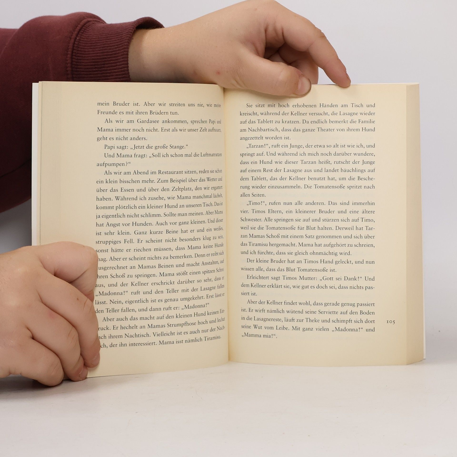 Hannelore Westhoff Das große Buch der Feriengeschichten
