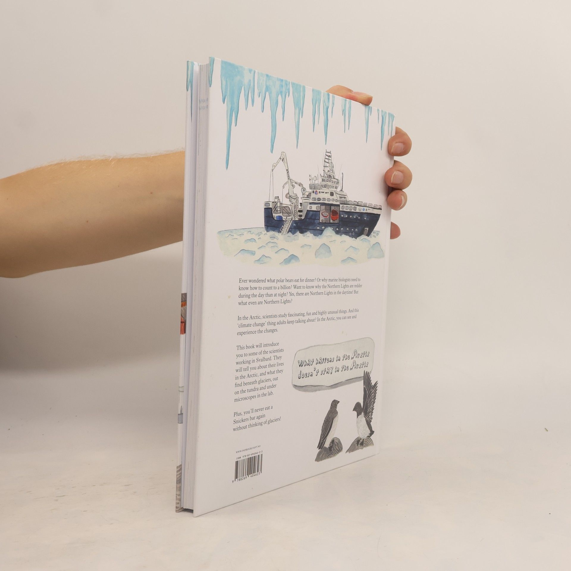 Maria Philippa Rossi Arctic Mysteries