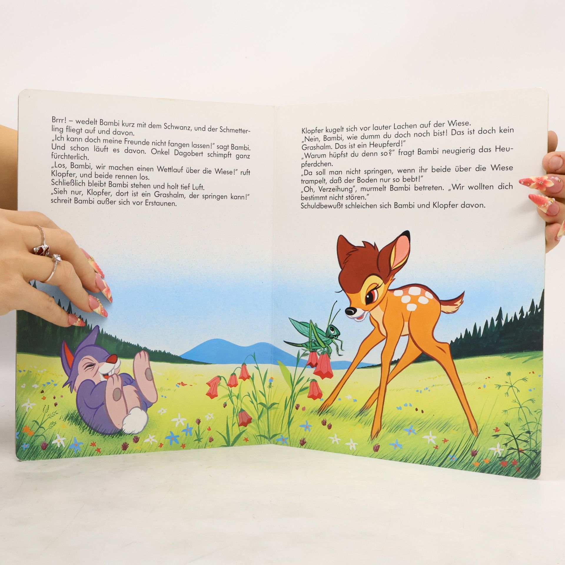 Autorenkollektiv Bambi. Das Buch zum Film
