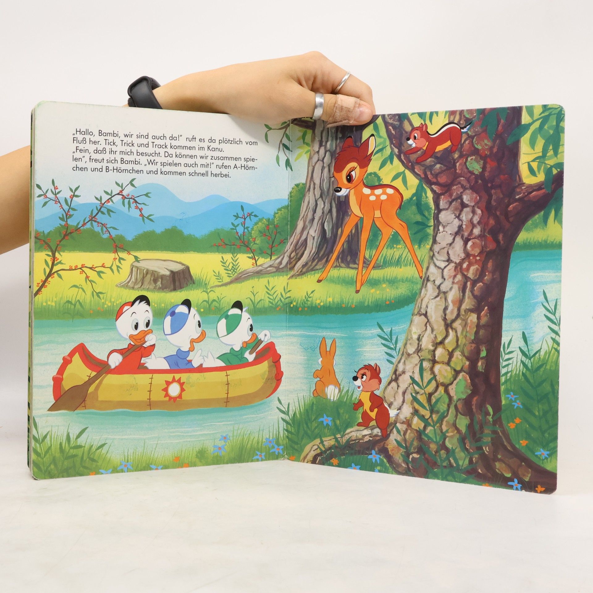Autorenkollektiv Bambi. Das Buch zum Film