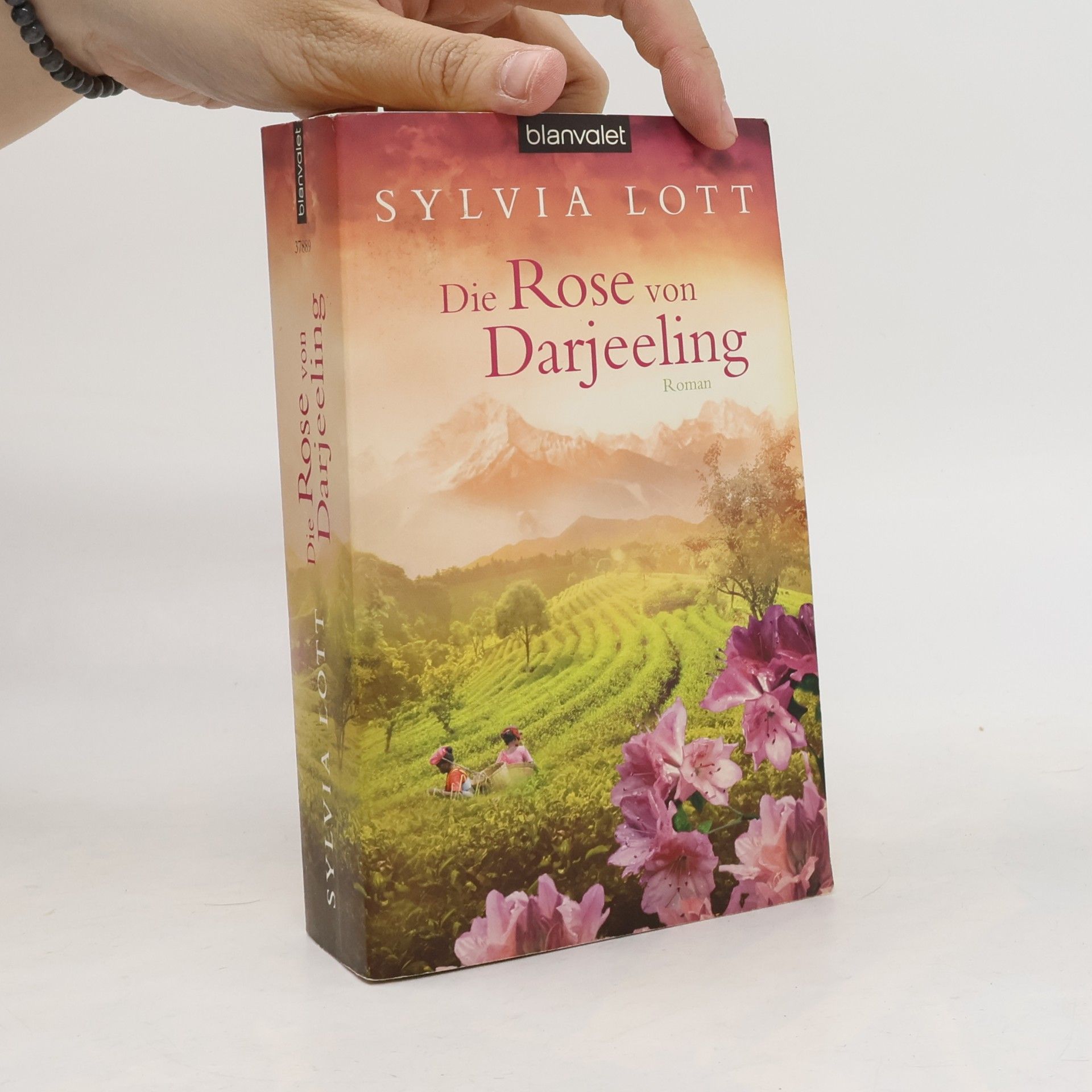 Sylvia Lott Die Rose von Darjeeling