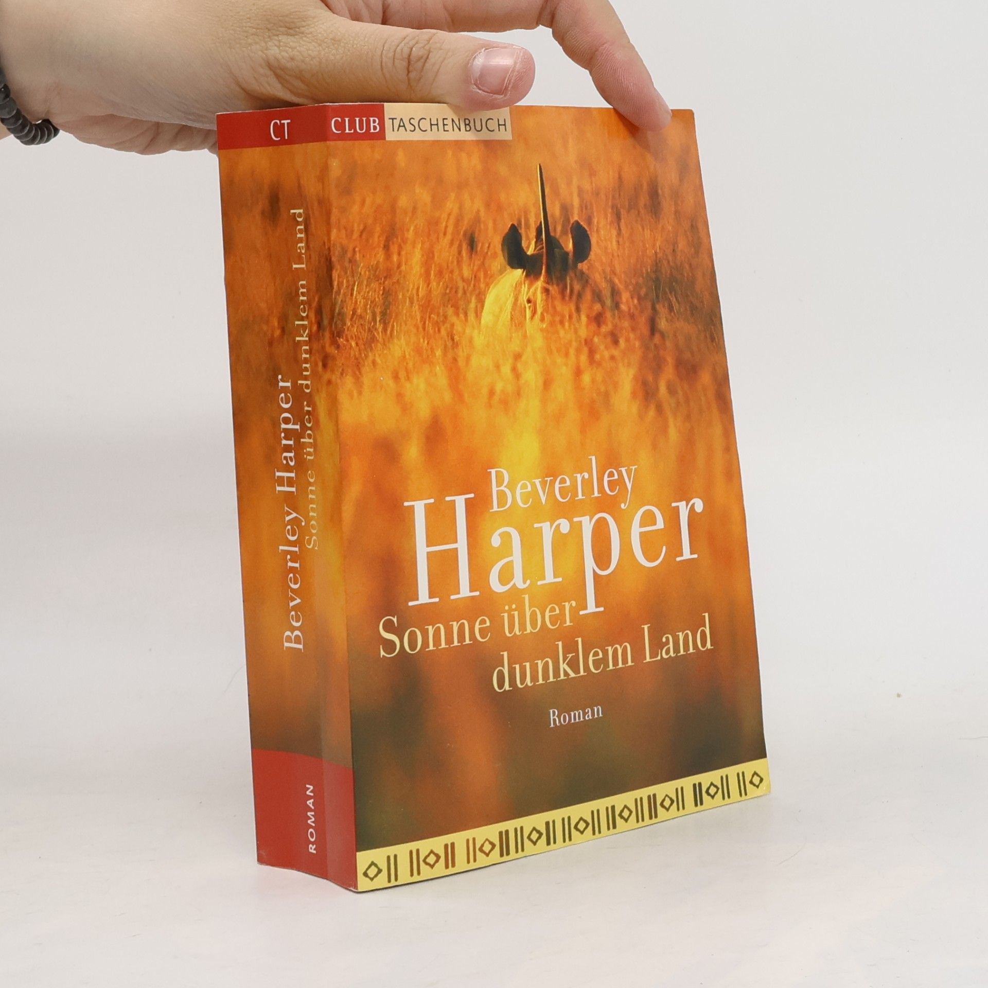 Beverley Harper Sonne über dunklem Land