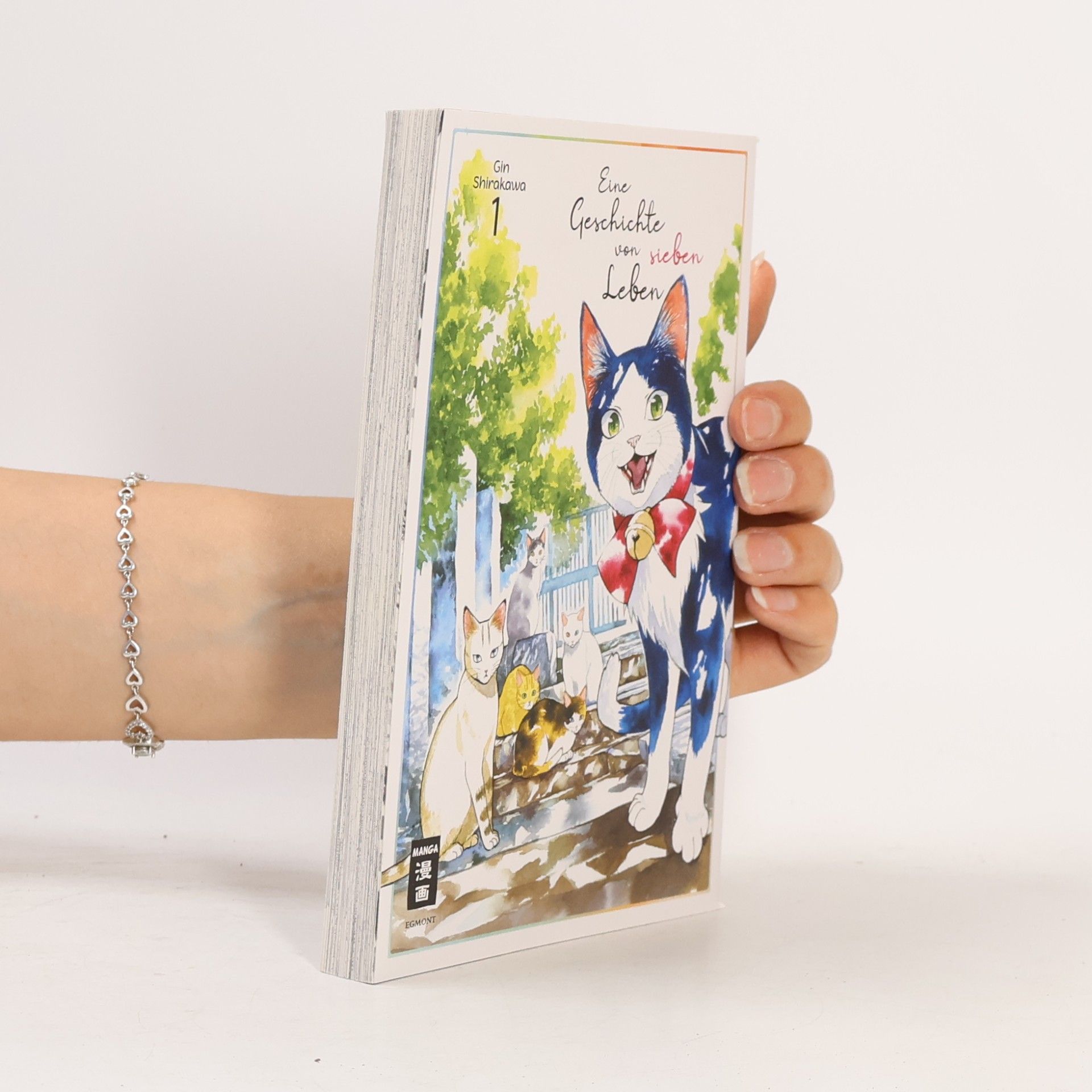 Gin Shirakawa Eine Geschichte von sieben Leben 01