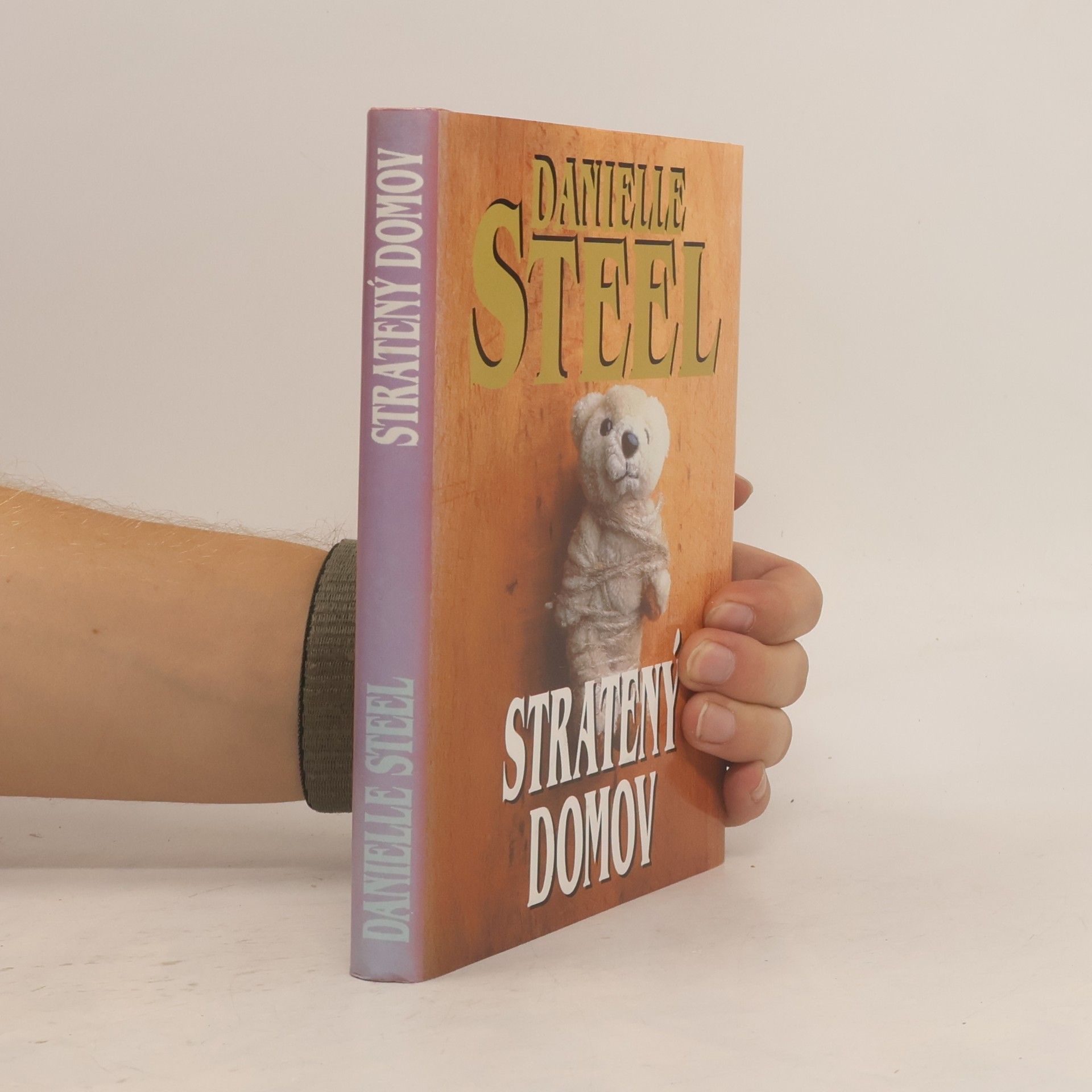 Danielle Steel Stratený domov