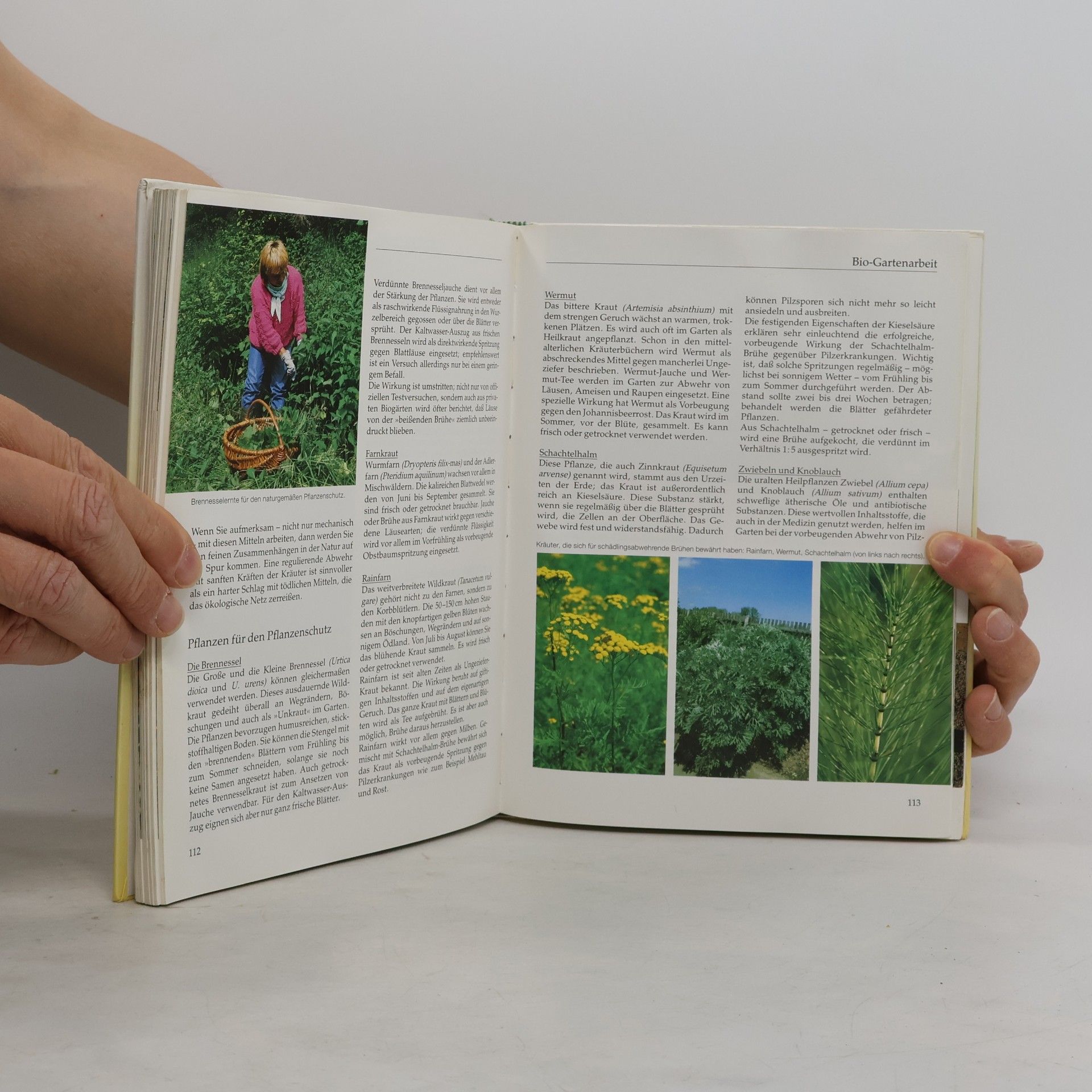 Marie Kreuter So entsteht ein Bio-Garten