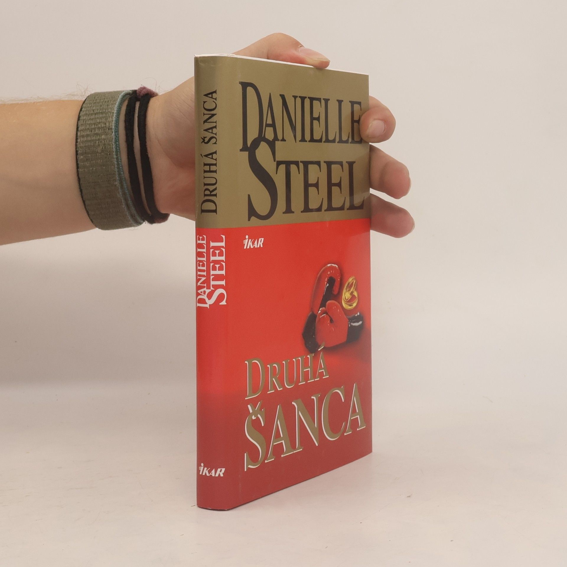 Danielle Steel Druhá šanca