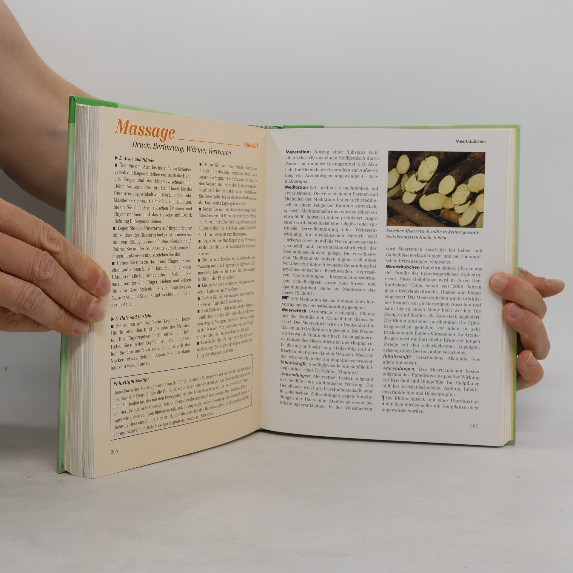 Annette Eiden-Schuh Praxisbuch der Naturheilkunde