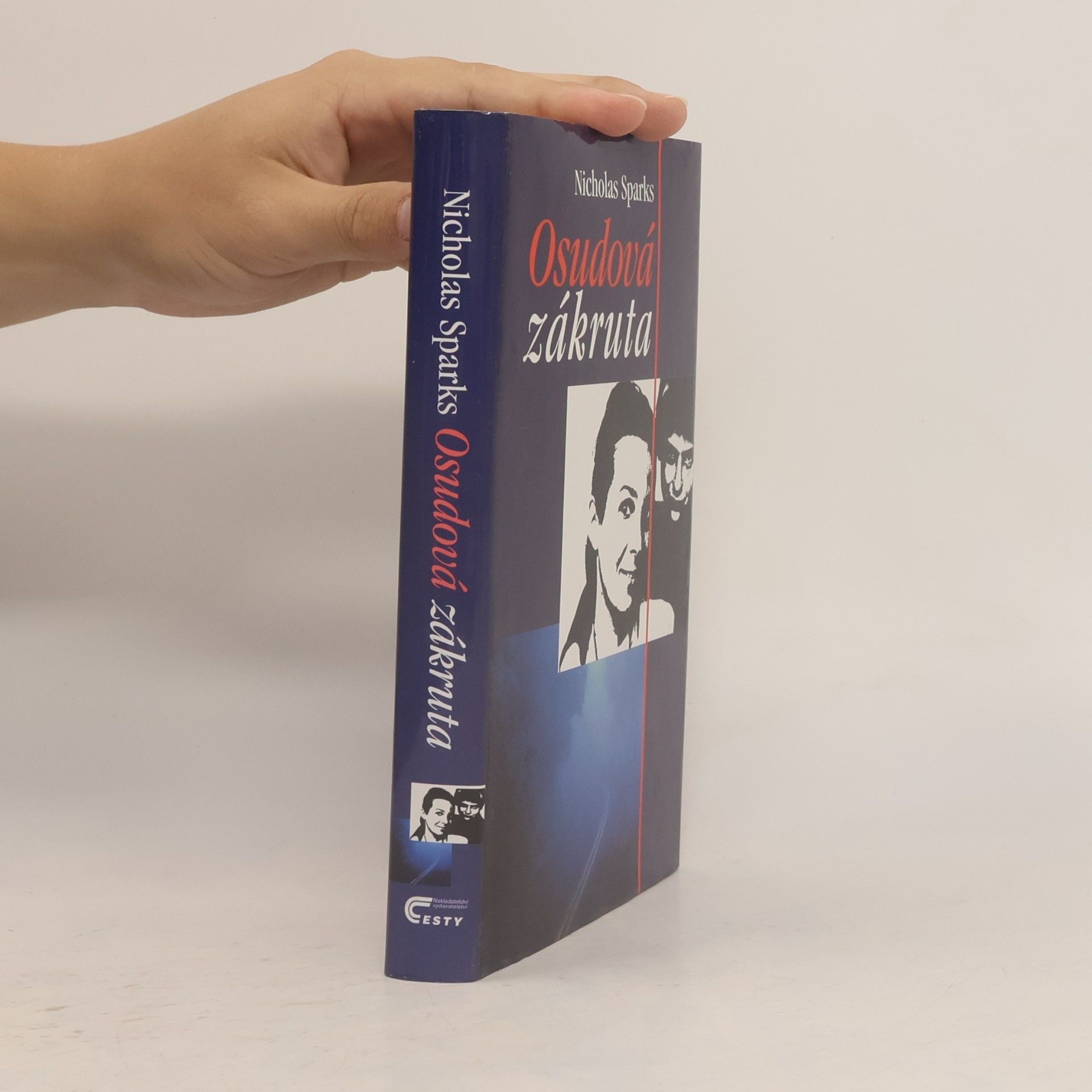Nicholas Sparks Osudová zákruta