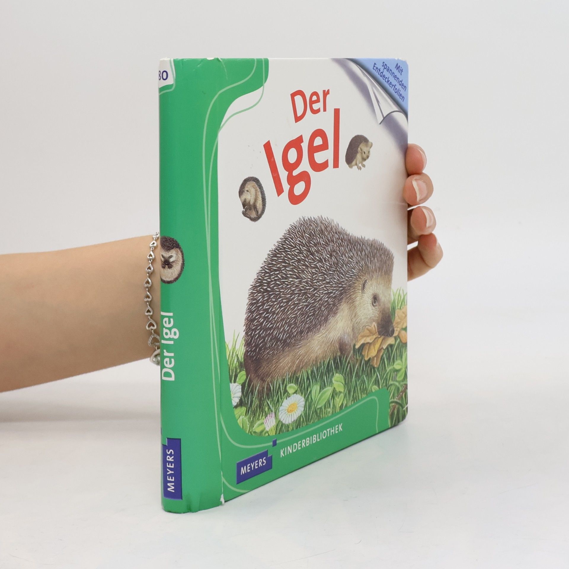 Pierre de Hugo Der Igel