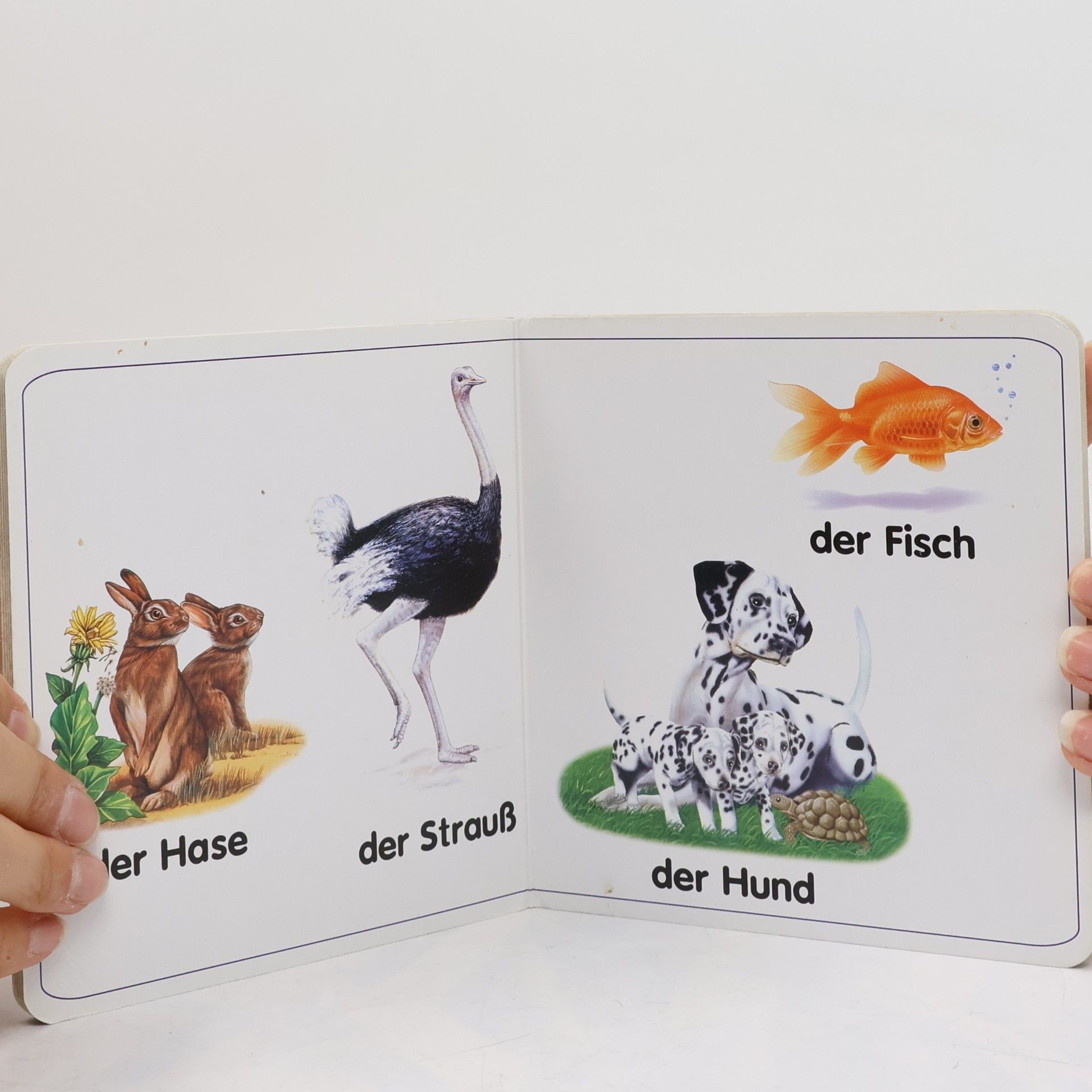 Auteurscollectief Wie heißt denn das? Zu Hause